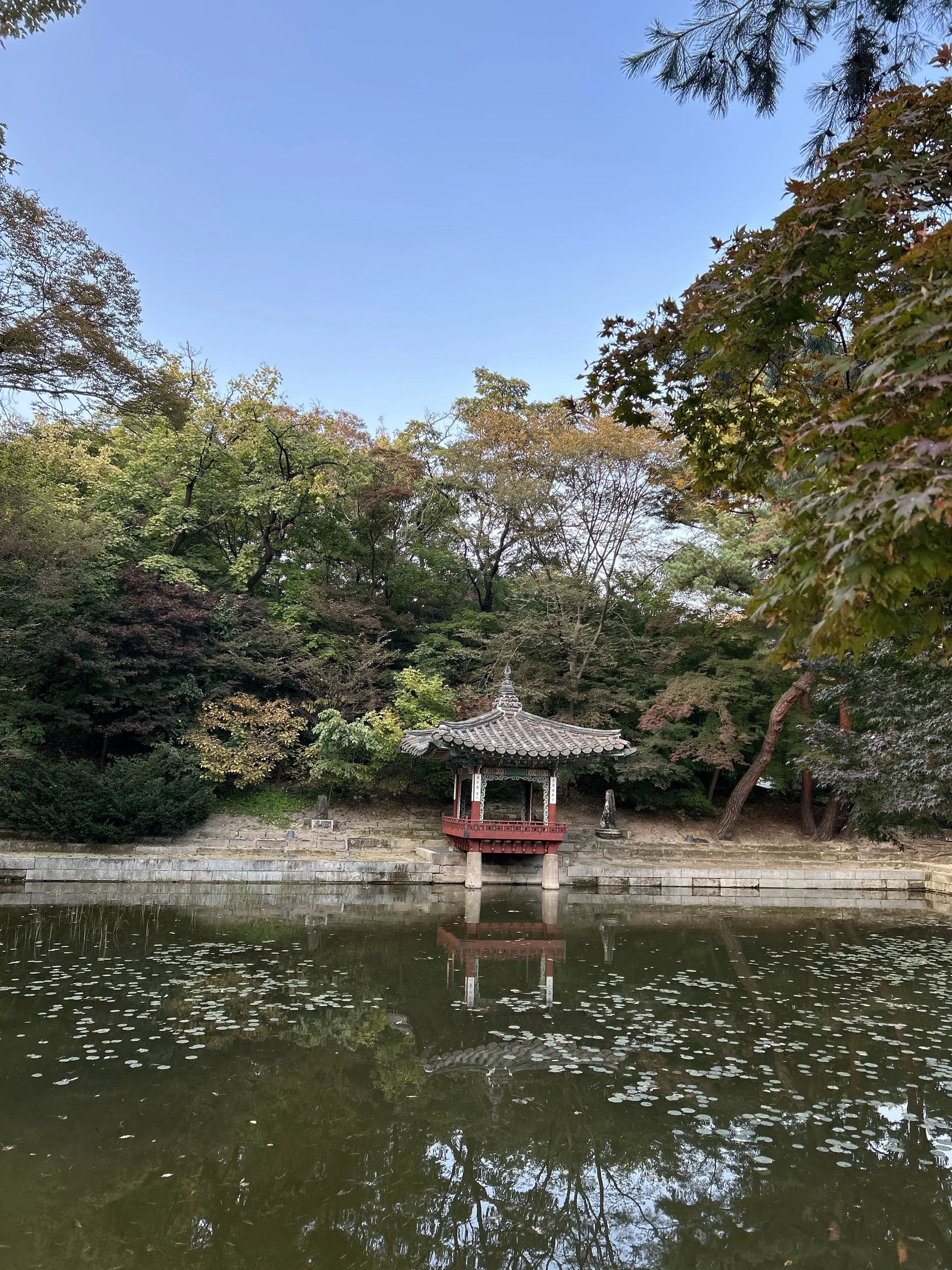 A traditional Japanese pavilion on a small lake surrounded by trees with colored leaves, reflecting in the water under a clear blue sky.
