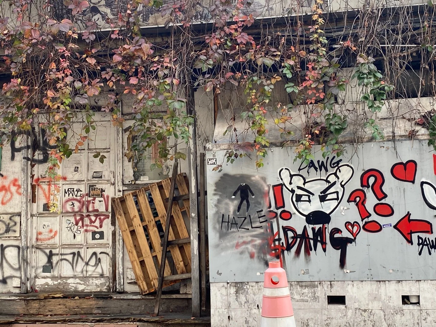 Graffiti-covered wall with a cartoon cat face, question marks, arrows, and words like 'PAW', 'DANG', 'HAZLE' in red, black, and white, with overgrown plants hanging from above and an orange traffic cone in front.