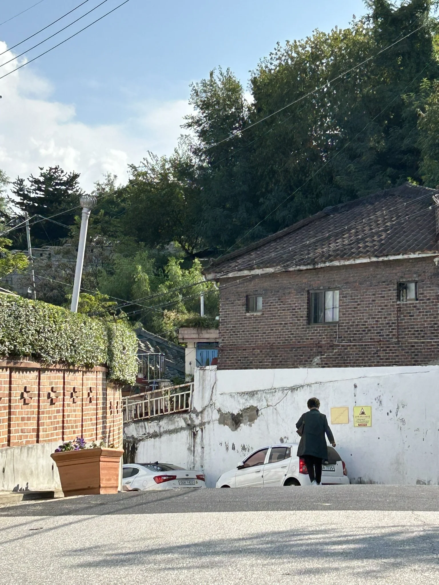 A person dressed in black walking in front of a white wall with some cracks, two cars parked beside it, a brick house with a tiled roof in the background, and a large flowerpot with purple flowers on the sidewalk. Green trees and a partly cloudy sky are visible above.