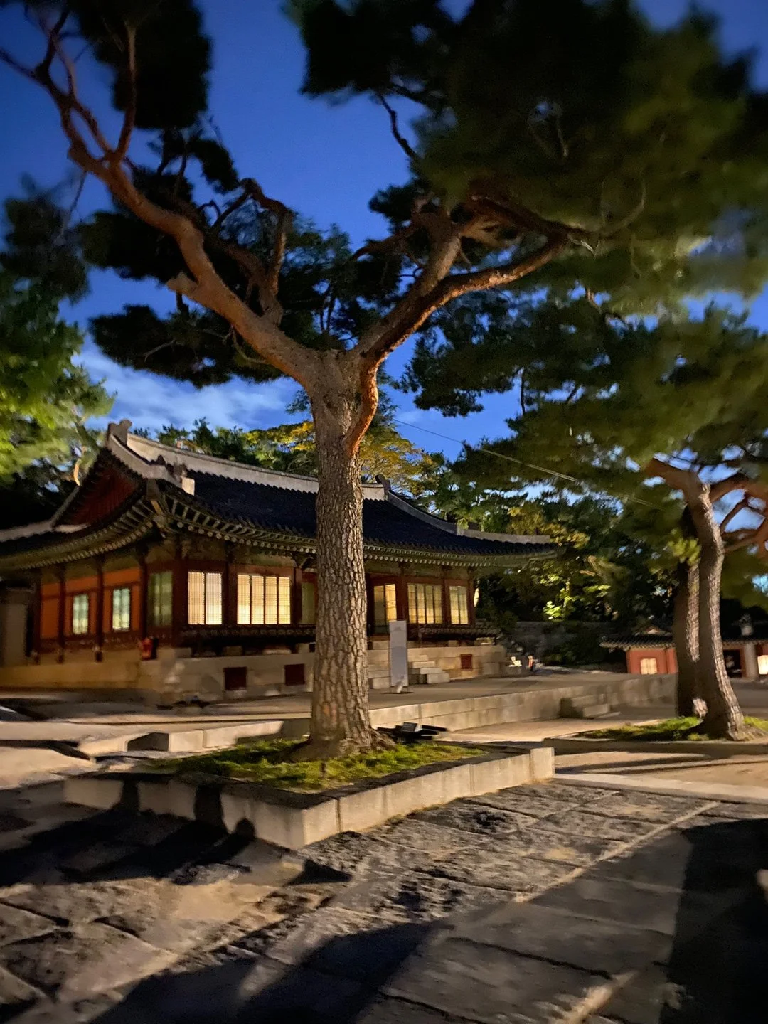 Traditional Japanese temple with wooden architecture and glowing windows, surrounded by tall pine trees at dusk.