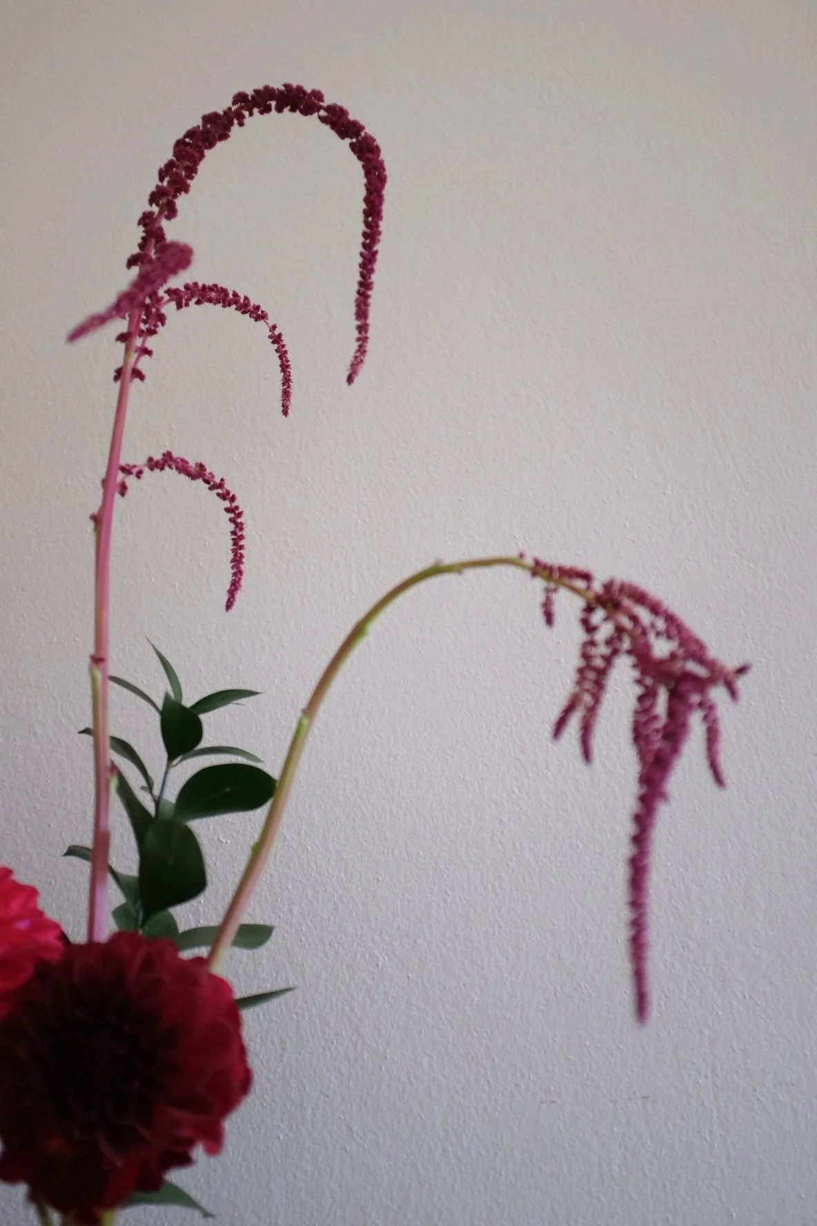 0187332d-a198-4ec1-8fa6-a2684eafbcd0 3.JPG