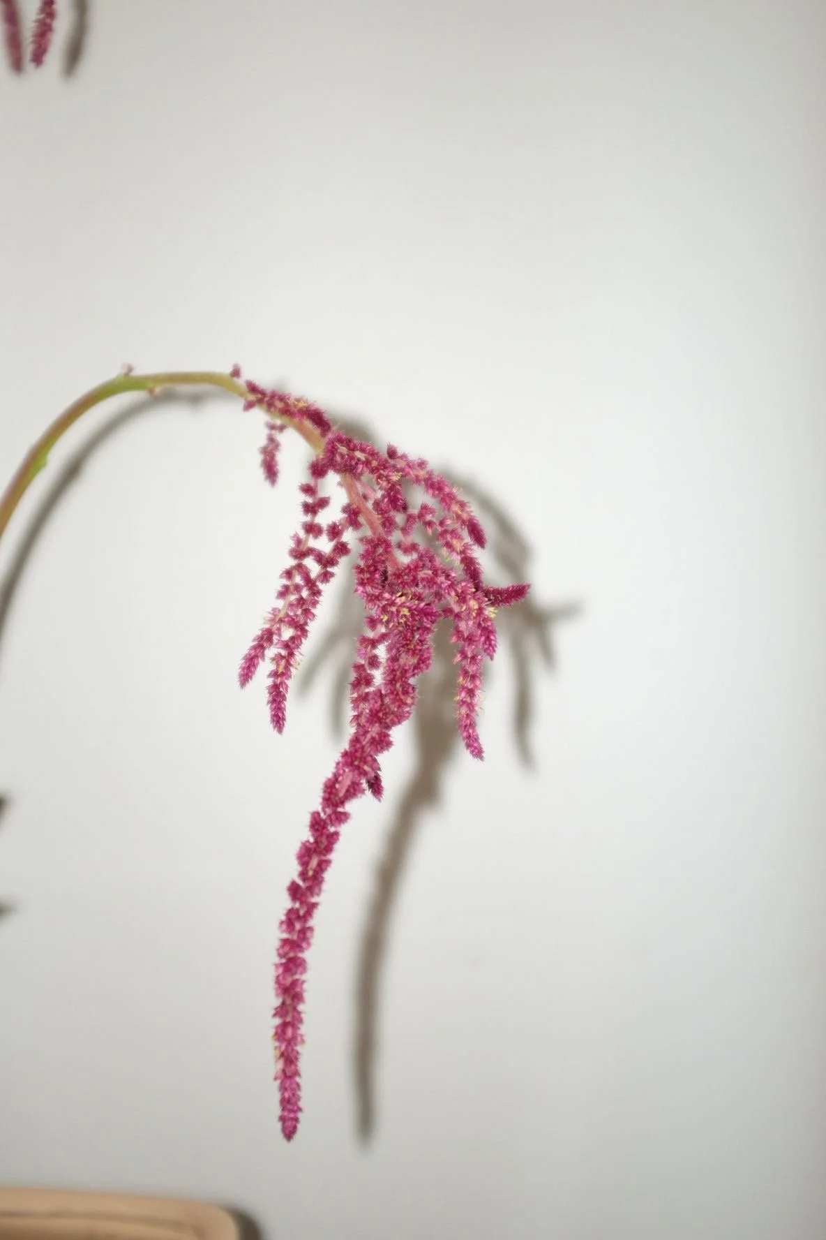 d90020cb-0996-4300-a329-de75b4dca3f3 2.JPG