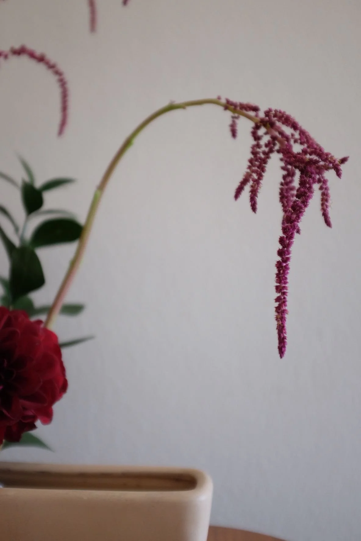 d06fd56b-77cb-44e2-a8e2-5fd50f53a476 3.JPG