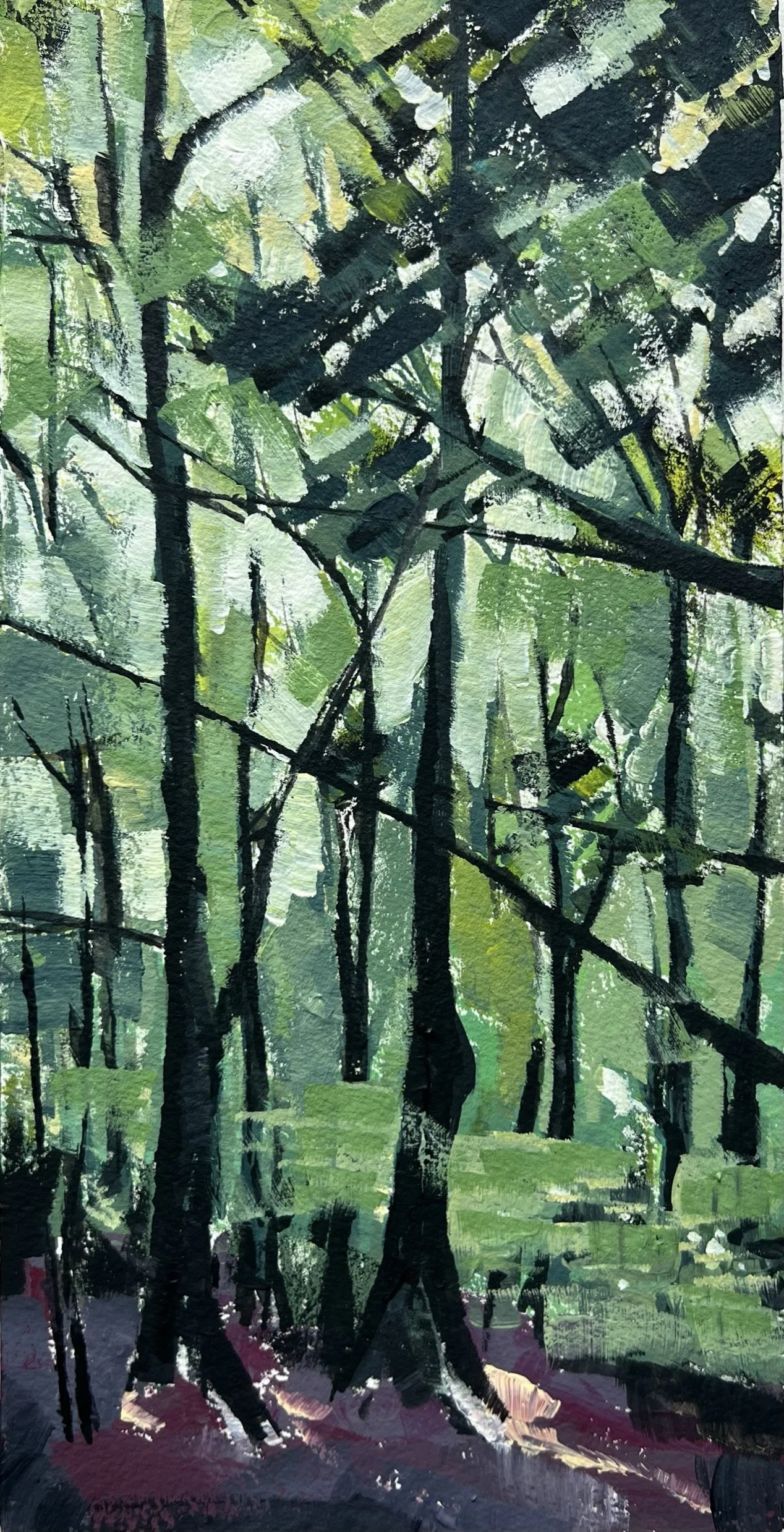 Nailsworth Woods