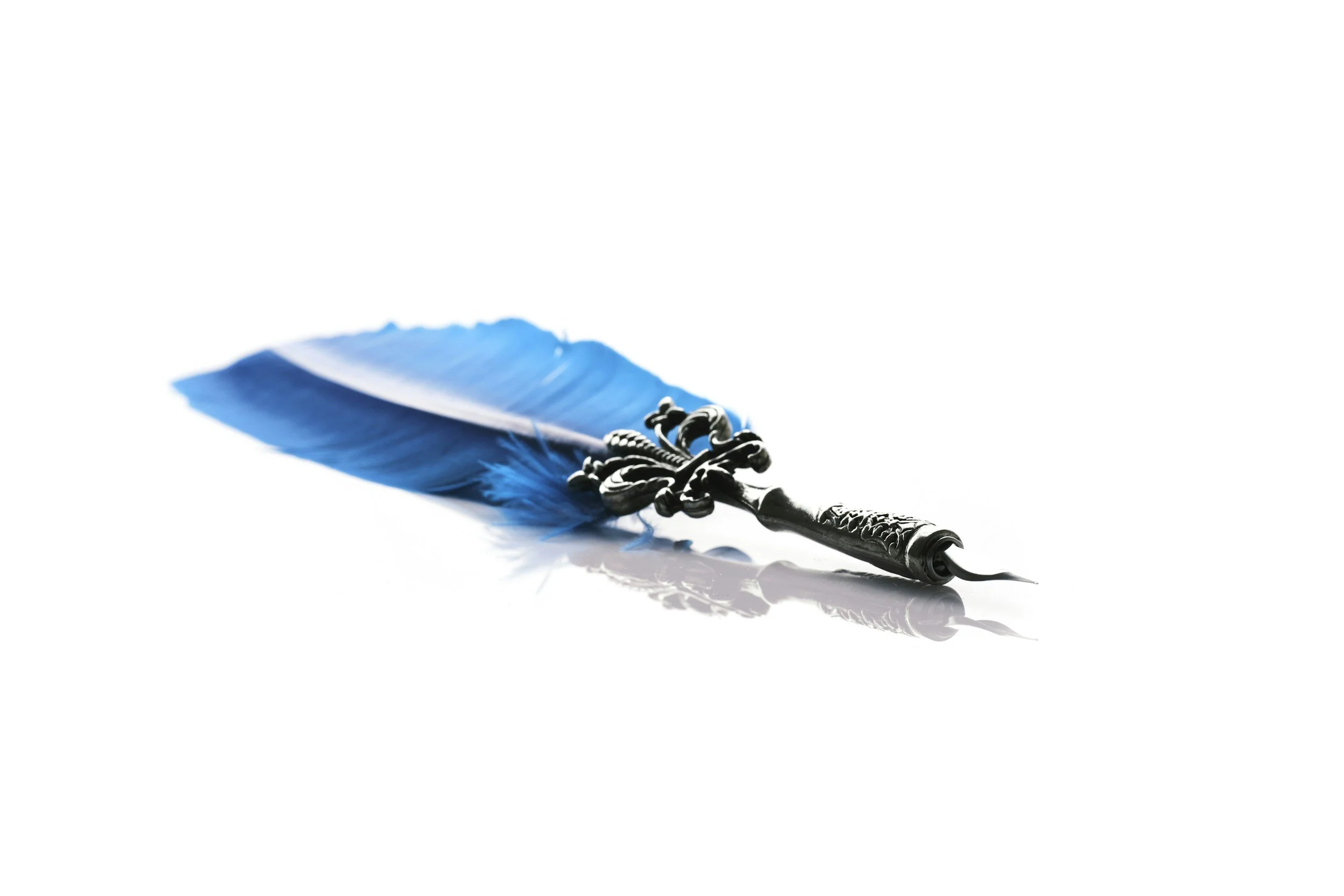 A symbolic feather quill representing the recording of channeled spiritual messages during Tides of Spirit remote channeling sessions.