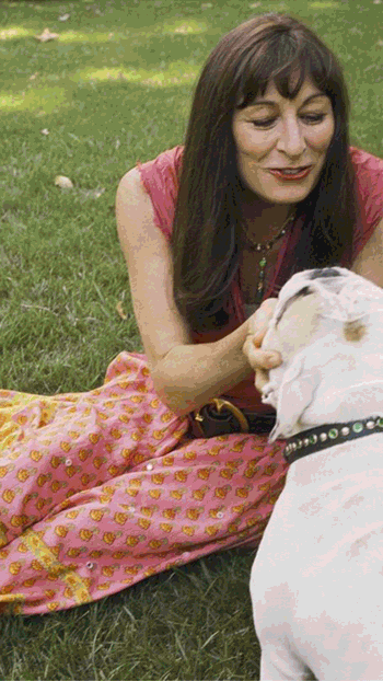 Reel-8.gif