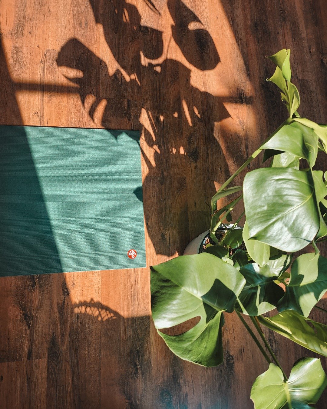 ✧ Waarom TenzinYoga? ✧

Bij TenzinYoga ben je altijd welkom, of je nu een beginner bent of al gevorderd. 💛

&bull; 7 dagen per week yogalessen
&bull; Lessen in Nederlands &eacute;n Engels
&bull; Kleinschalige, warme studio in het hart van Leiden
&bu