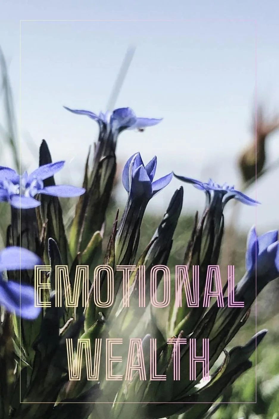 EMOTIONAL WEALTH