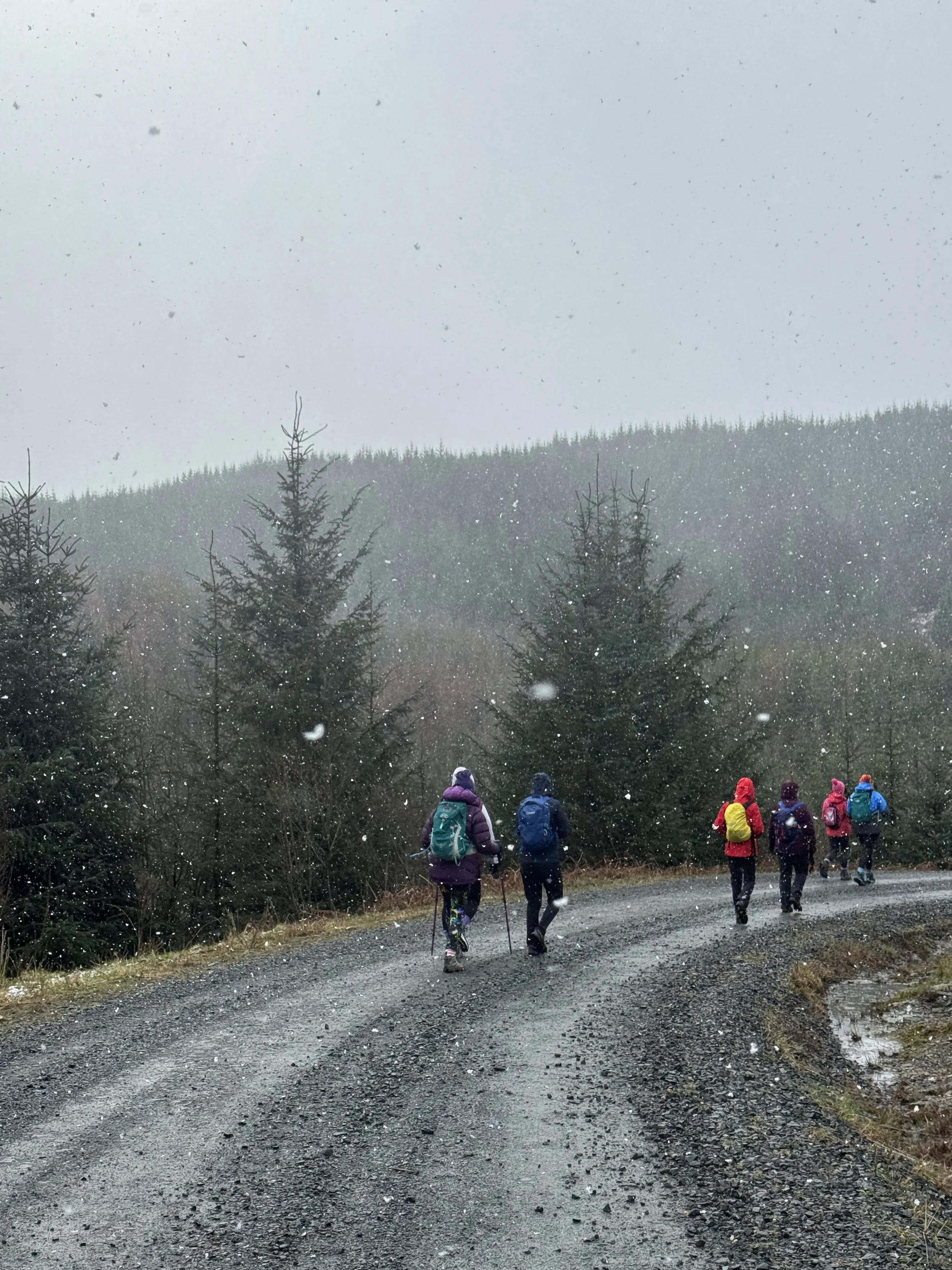 Walking in All Weathers – How to Make Peace with the Rain, Wind, and Mud