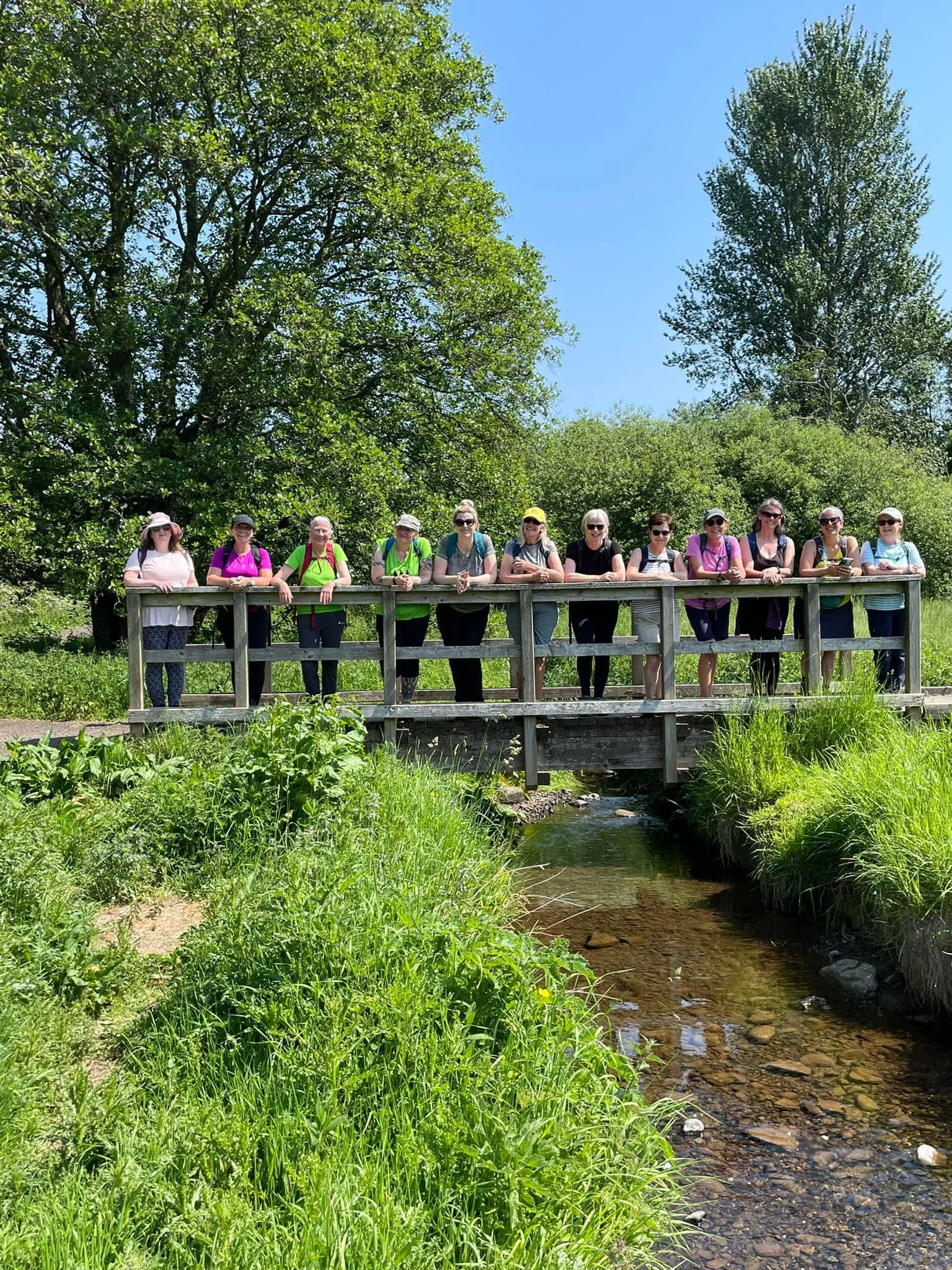 A group of people standing on a wooden bridge over a small creek in a lush, green park on a sunny day.