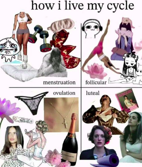 CYCLE SYNCING FOR freaky biz girls (OR: HOW I STOPPED FIGHTING MY BIOLOGY)