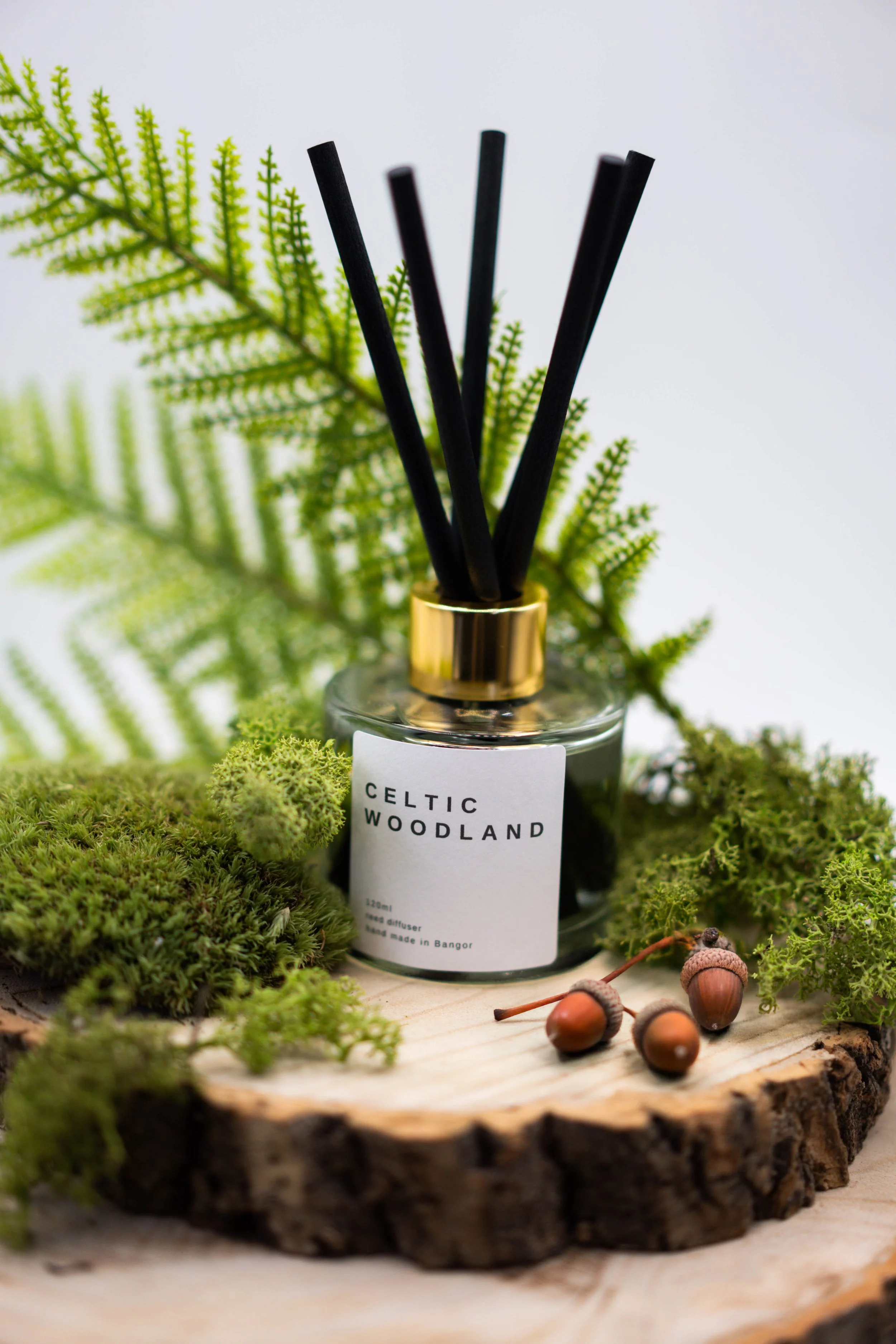 Celtic Woodland (Diffuser).jpg