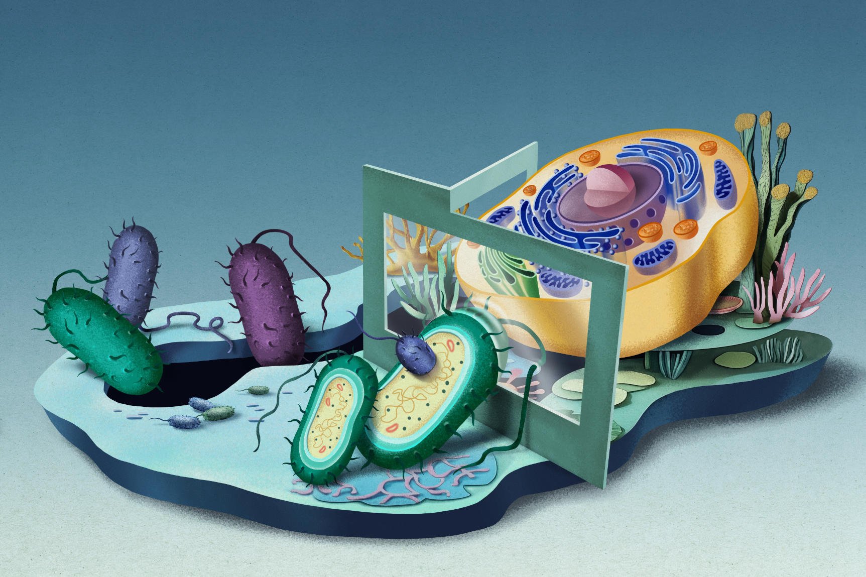 New paper in PNAS about the origin of the Eukaryotic cell
