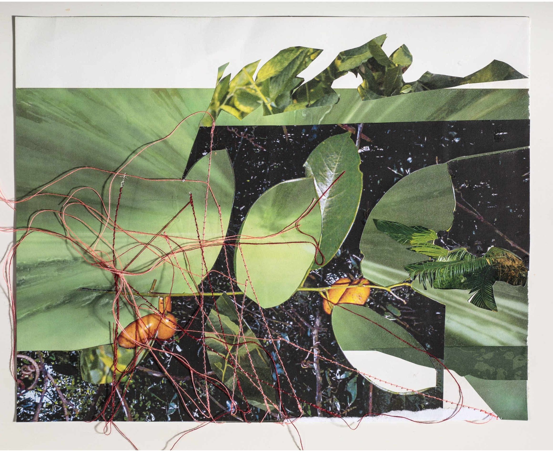 Lab work translates into an art Project