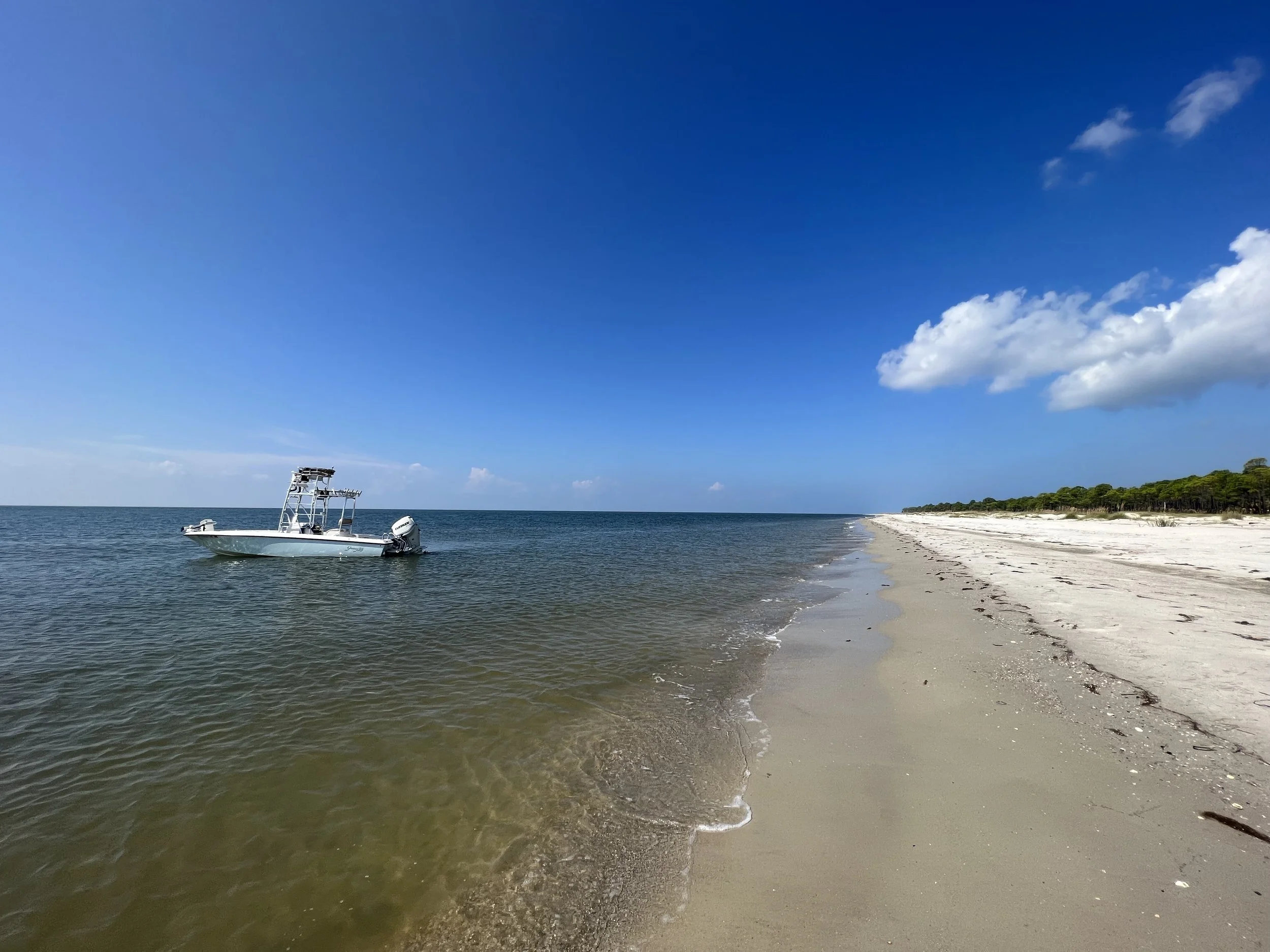 A boat floating on calm water near a sandy beach under a blue sky with some clouds, with green trees along the shoreline in the distance.