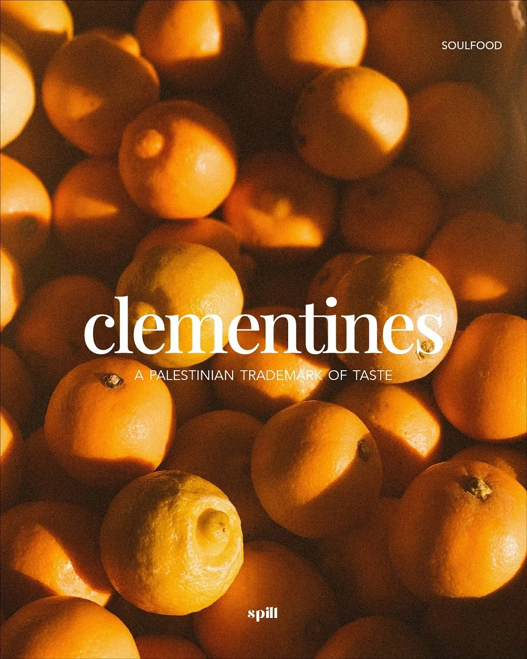 Sweet, sun-grown and a mark of cultural continuity🍊#kalamantina #palestine