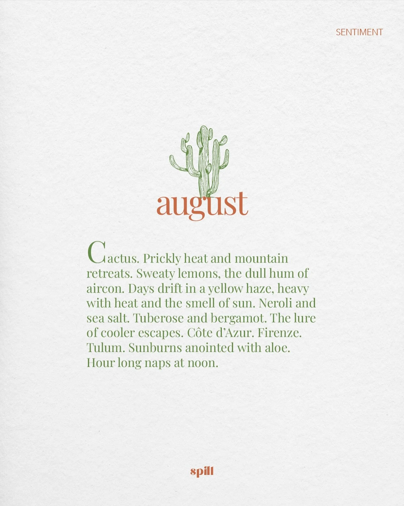 hello August🌵🍋