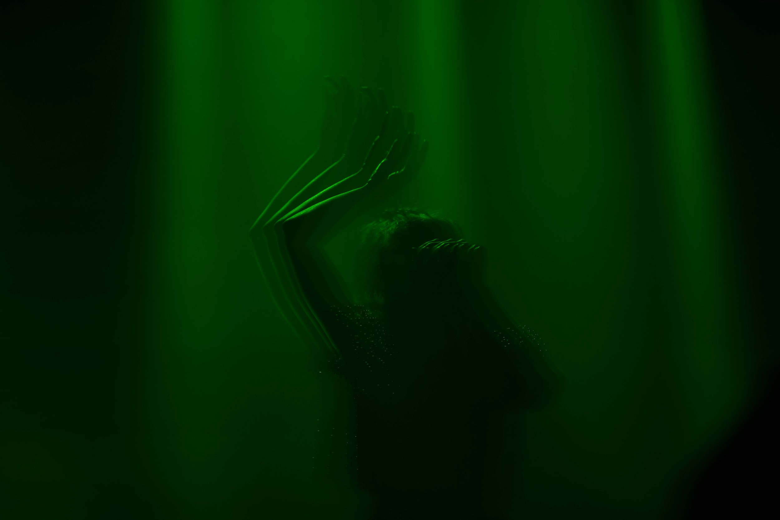 AVP_5308.jpg