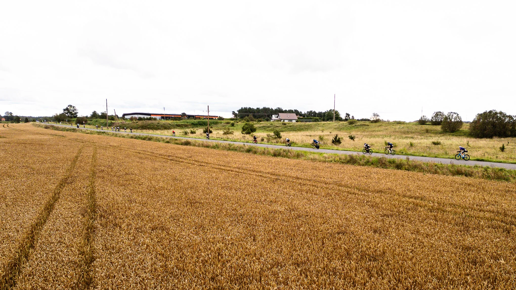 DJI_0030.jpg