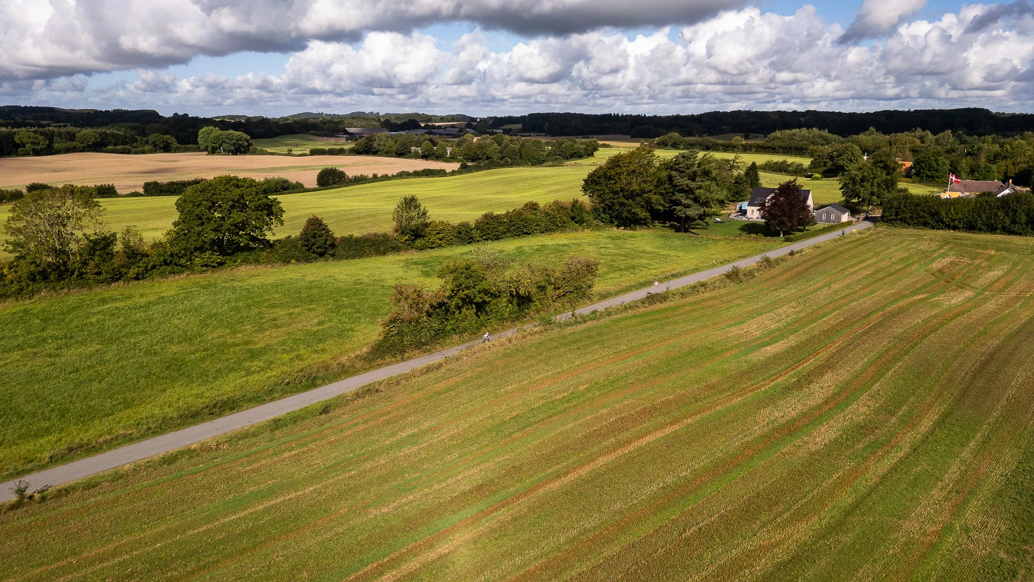 DJI_0077.jpg