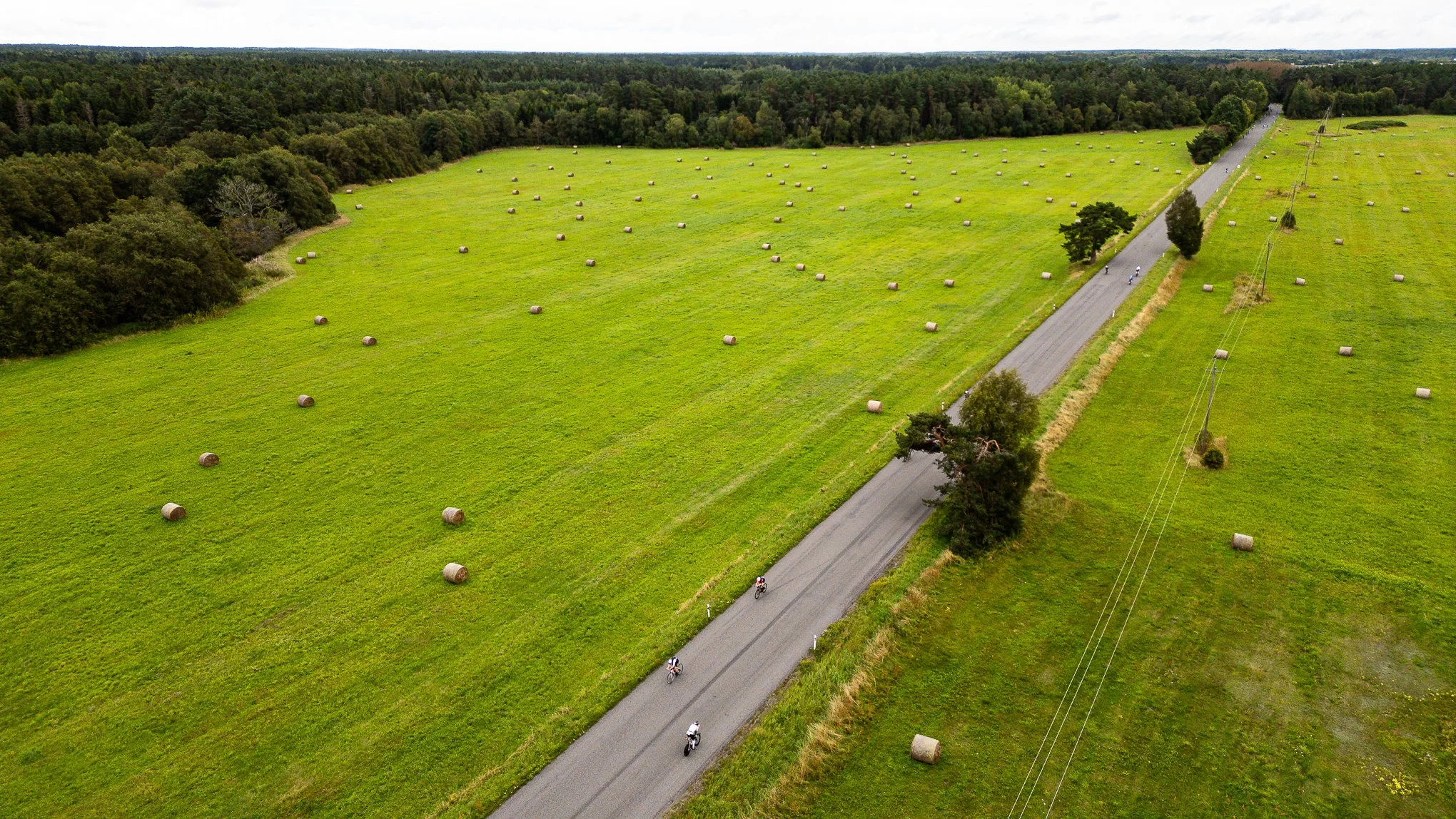 DJI_0003.jpg