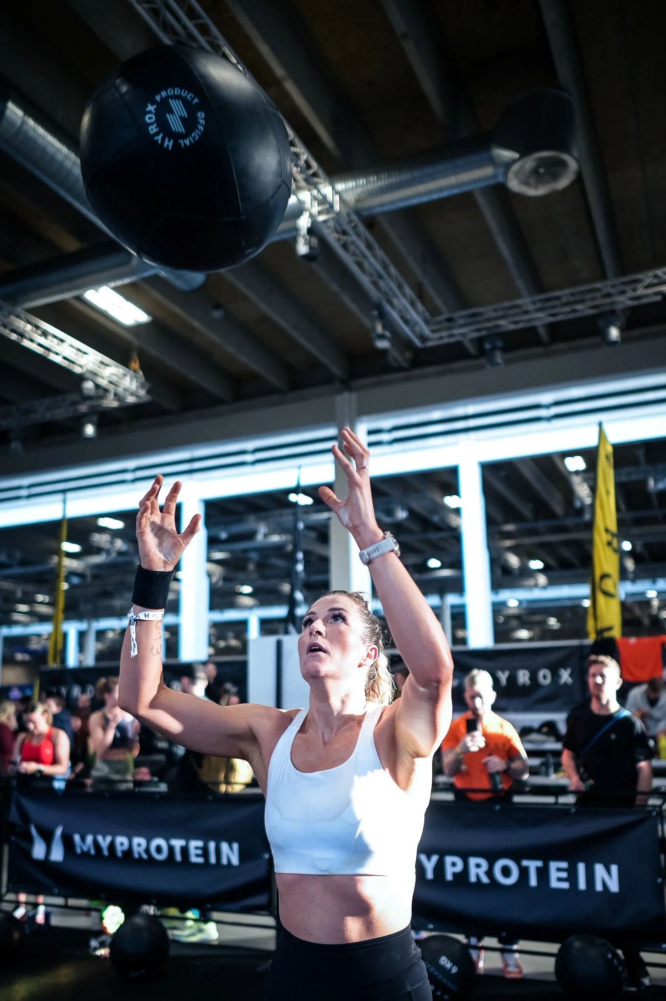 AV0_4716.jpg