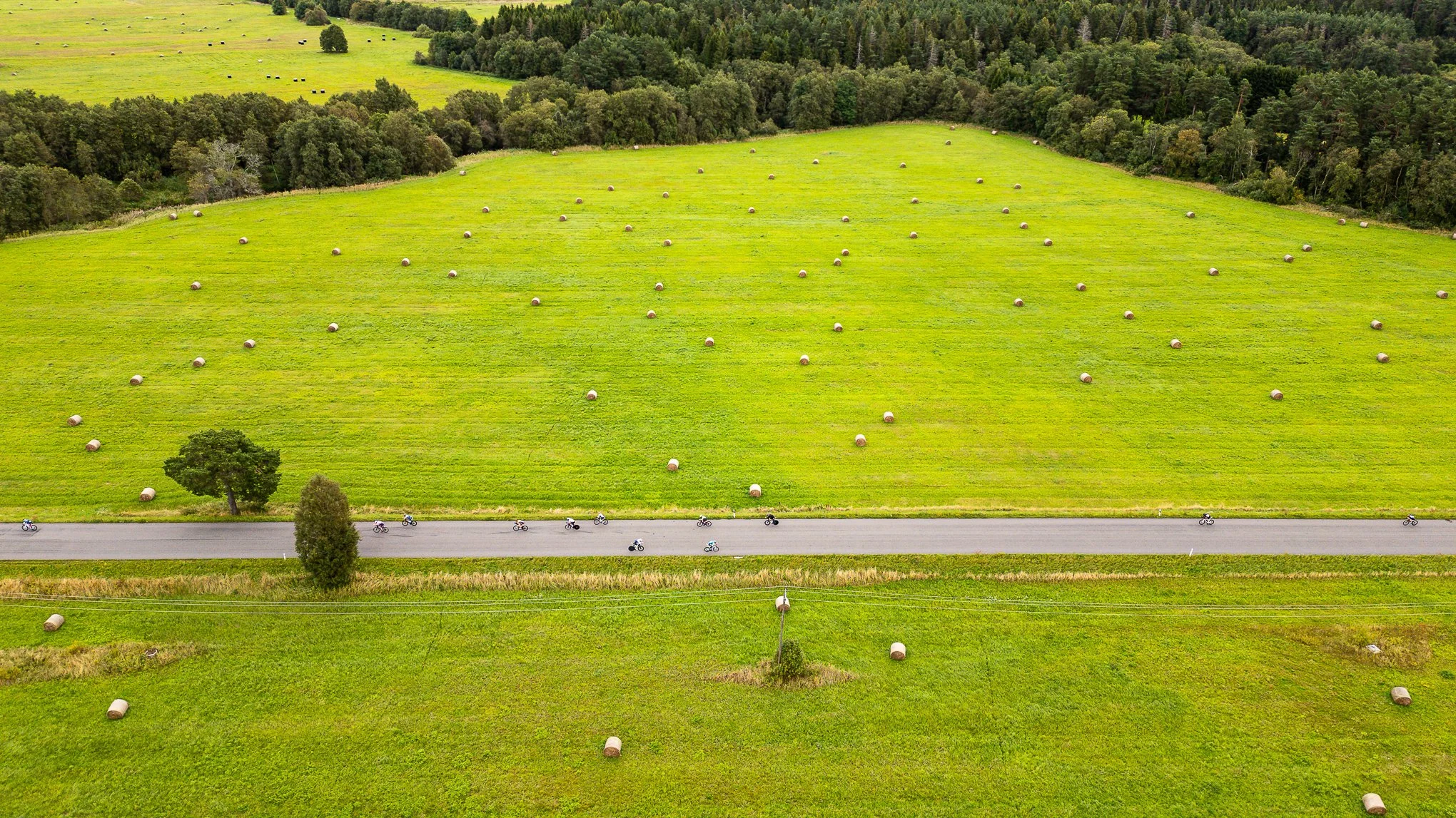 DJI_0007.jpg