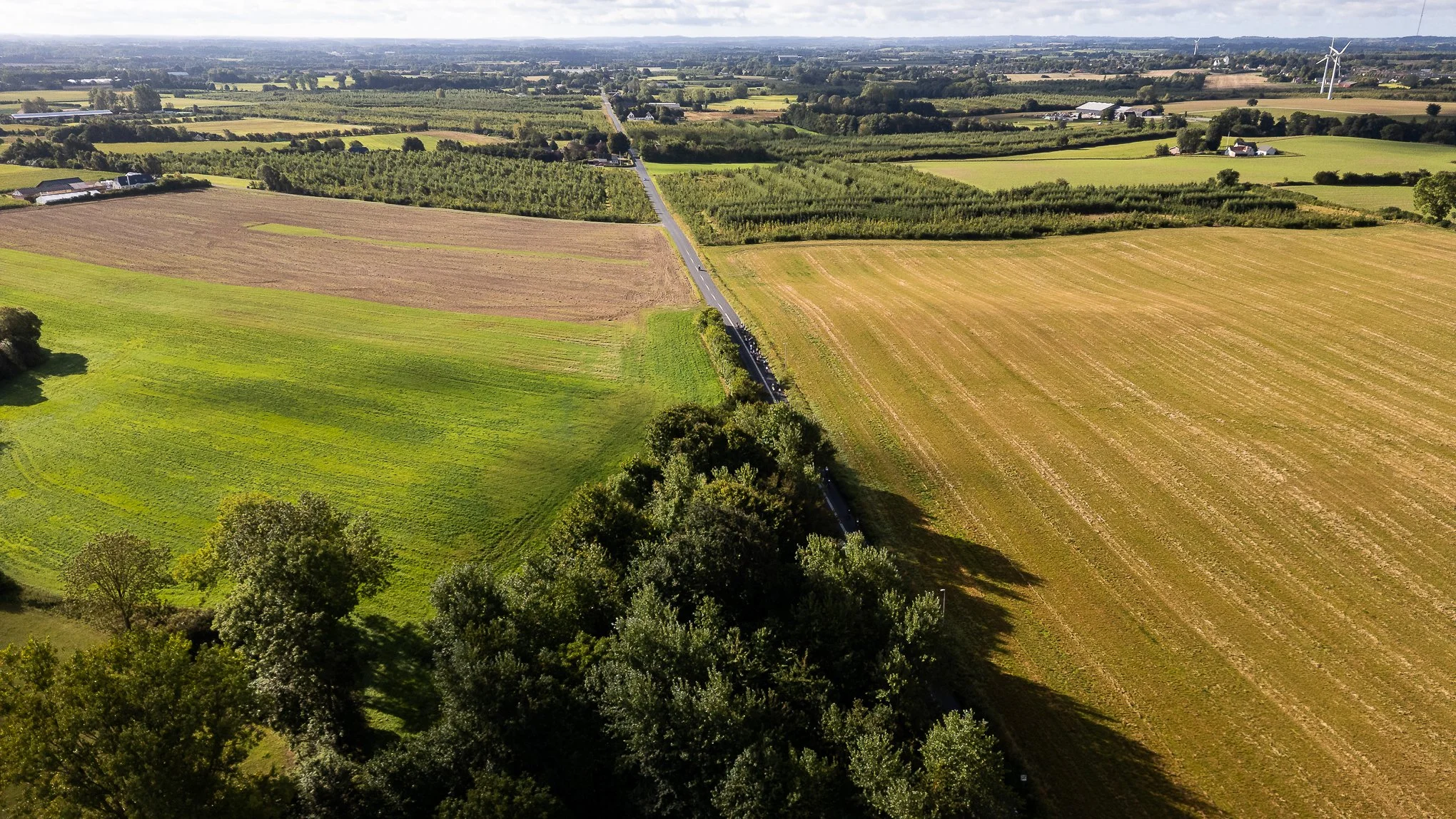 DJI_0071.jpg