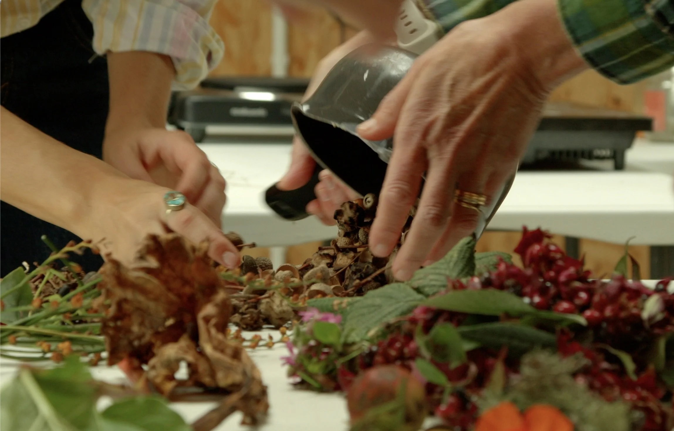 2-Day Natural Ink Making for Life Drawing with Emily Roberts (Summer)