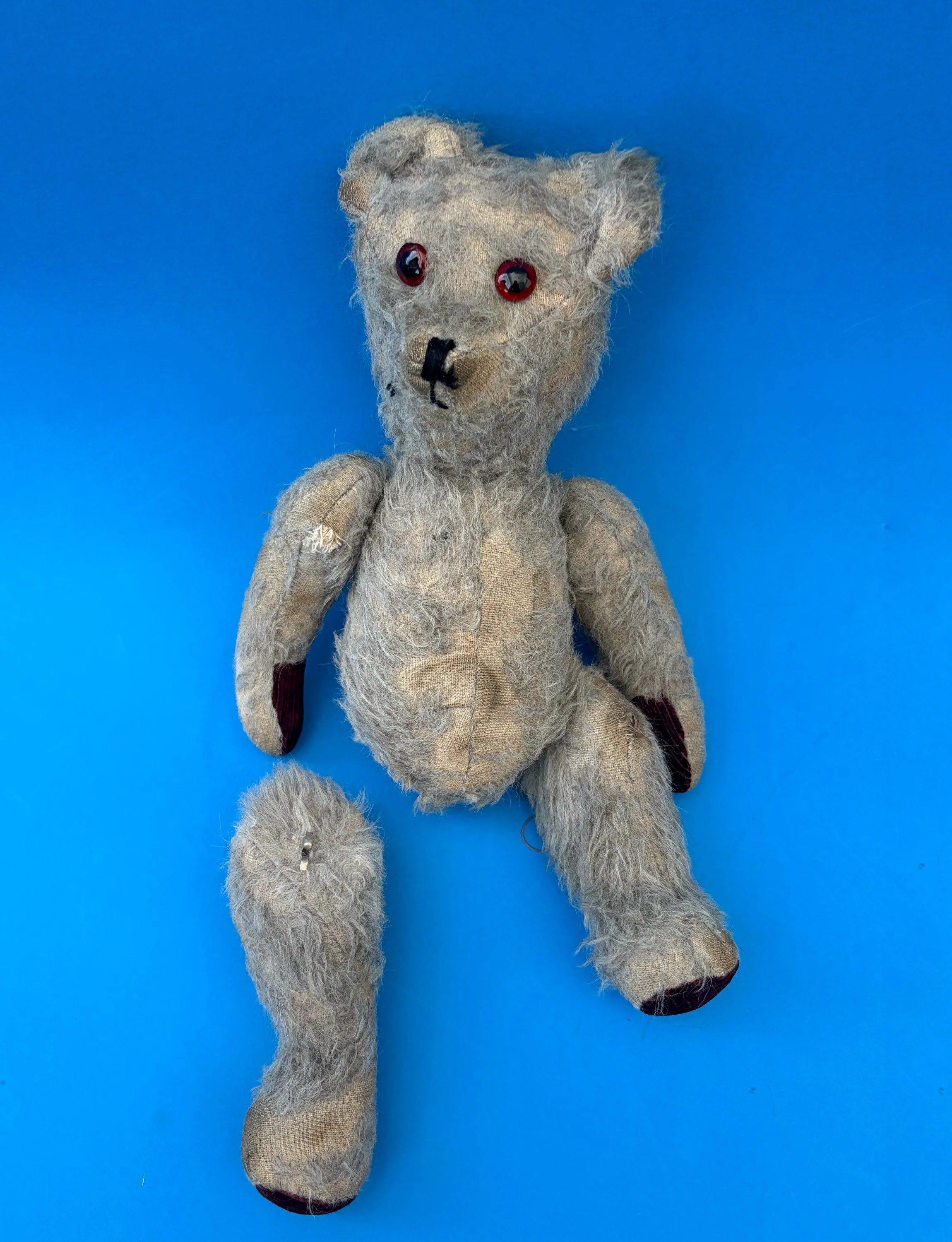 BygoneBears_05.jpg