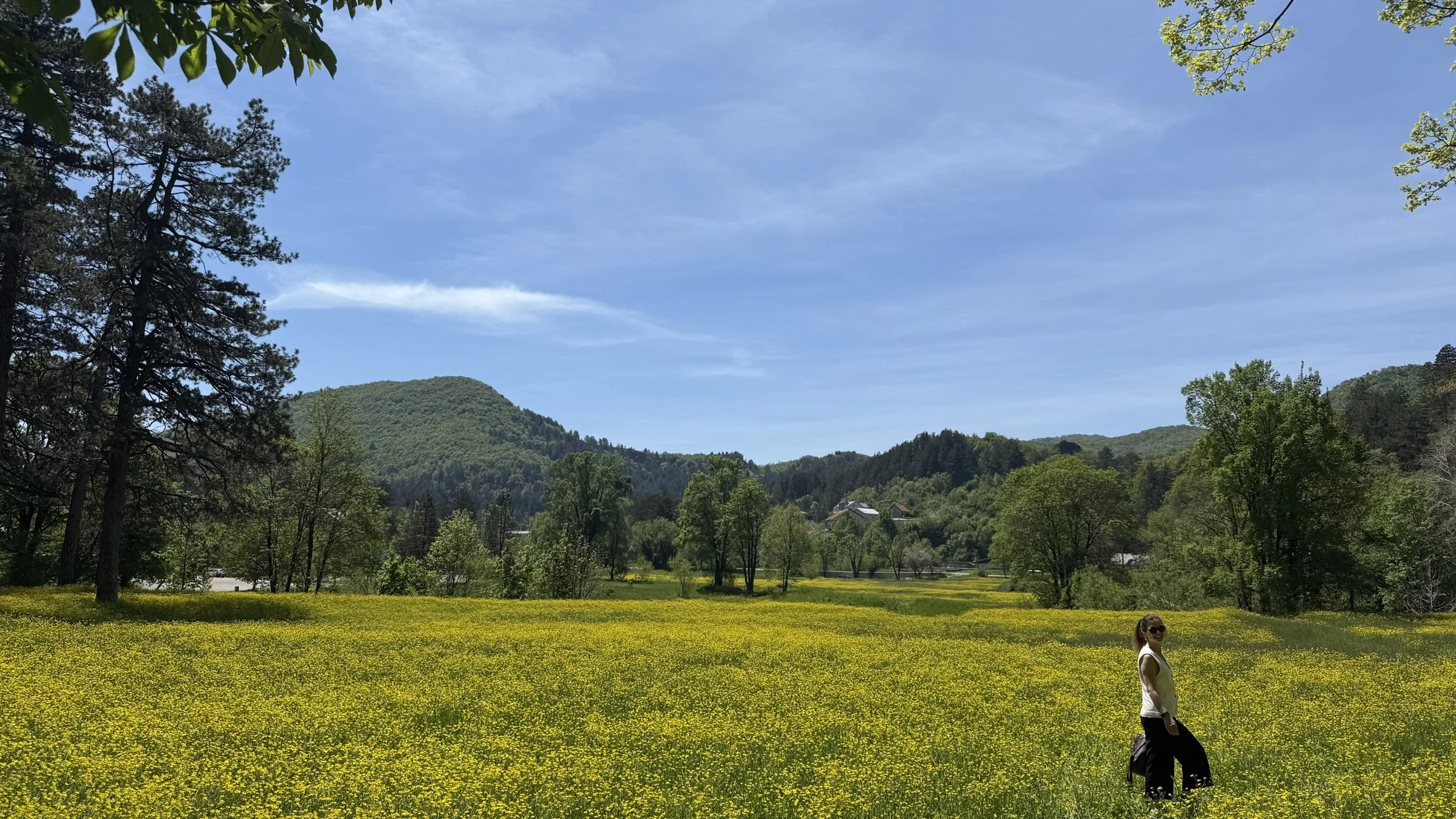 A woman with sunglasses standing in a yellow flower field, surrounded by green trees and hills under a blue sky.
