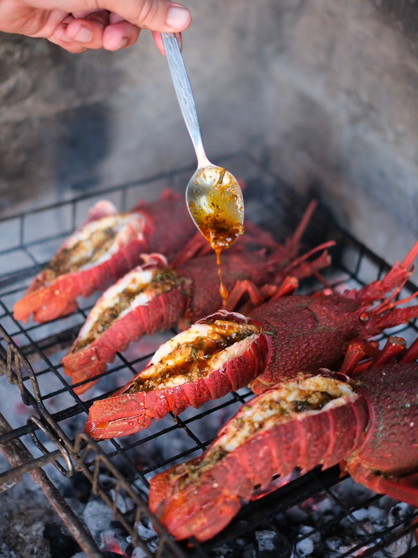 Die tyd het uiteindelik aangebreek!
 Die Lekker Weskus Kookboek is beskikbaar vir bestelling.

Van kreef braai, bokkom botter, perlemoen tot Galjoen, die boek het resepte vir almal. Ek wys vir julle watter hout om te gebruik, my braai gereedskap en o