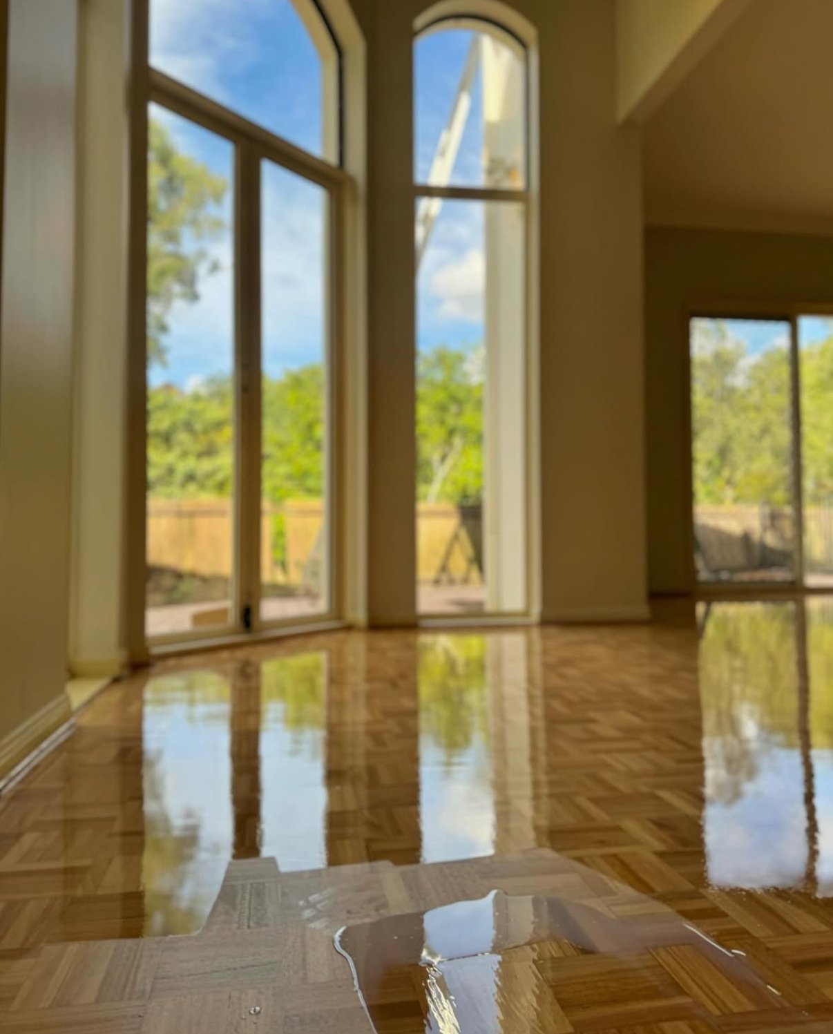 Inside a room with large windows showing a blue sky and greenery outside, and a reflective wooden floor with a sample of floor finish.
