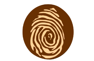 Dyna Floors