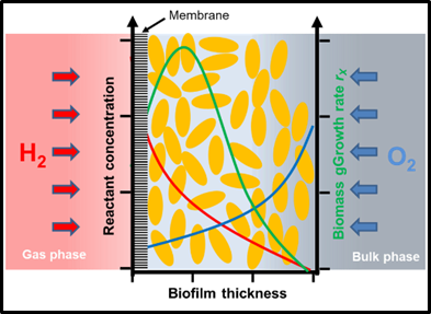 PhD position in Engineering/Natural Sciences (Bremen - Germany)