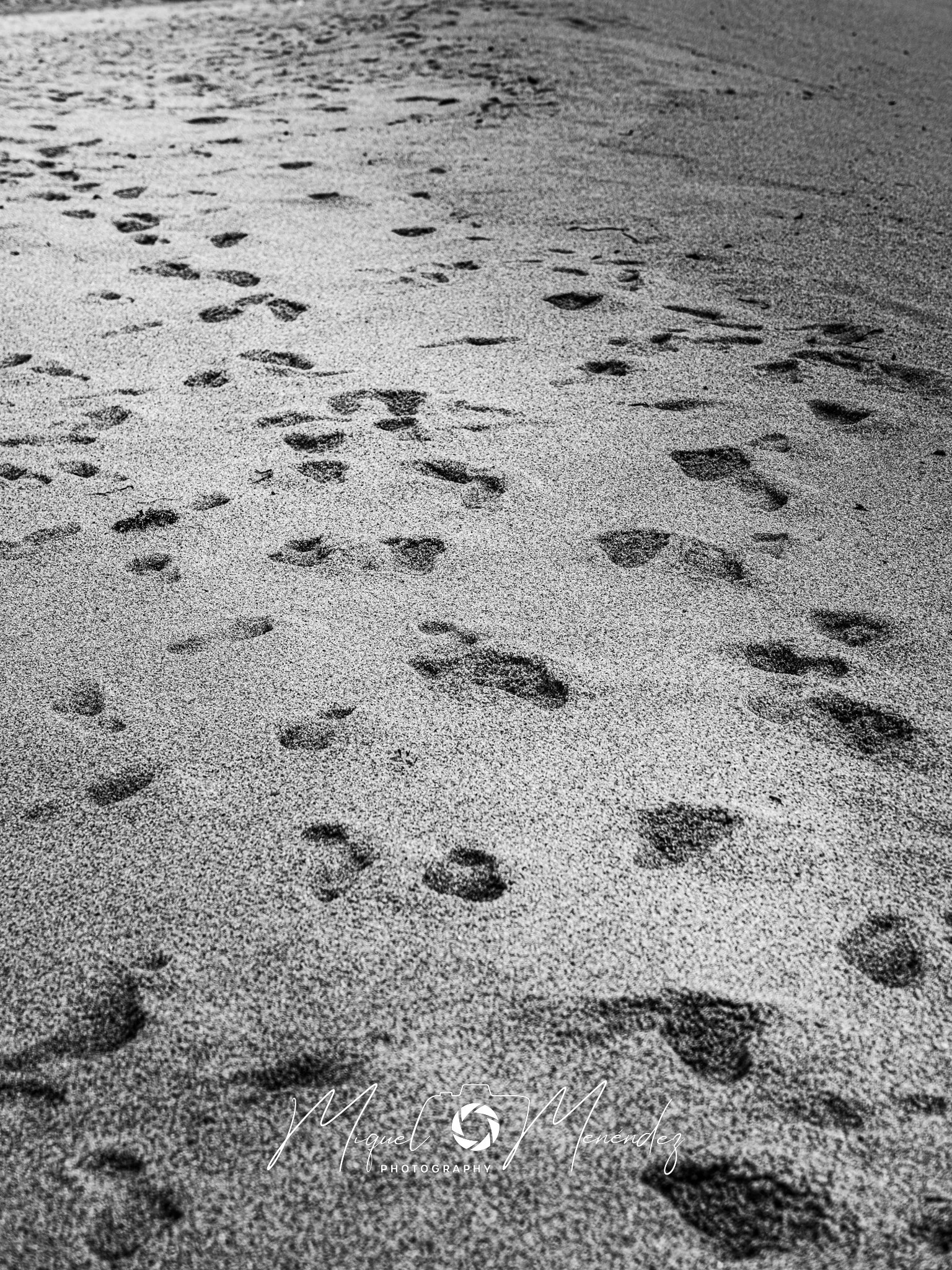Huellas en la playa