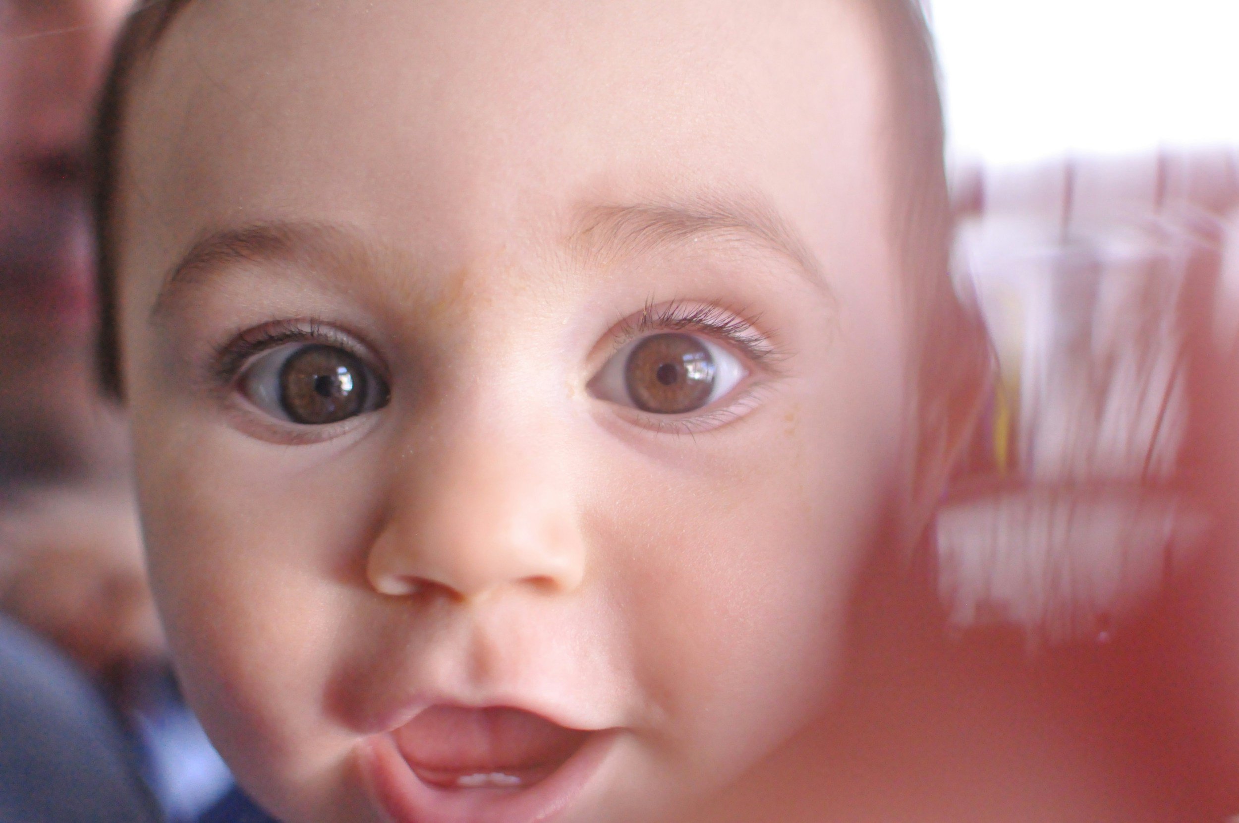 The Truth About Brain Development: Why Behavior Isn’t Just About Behavior