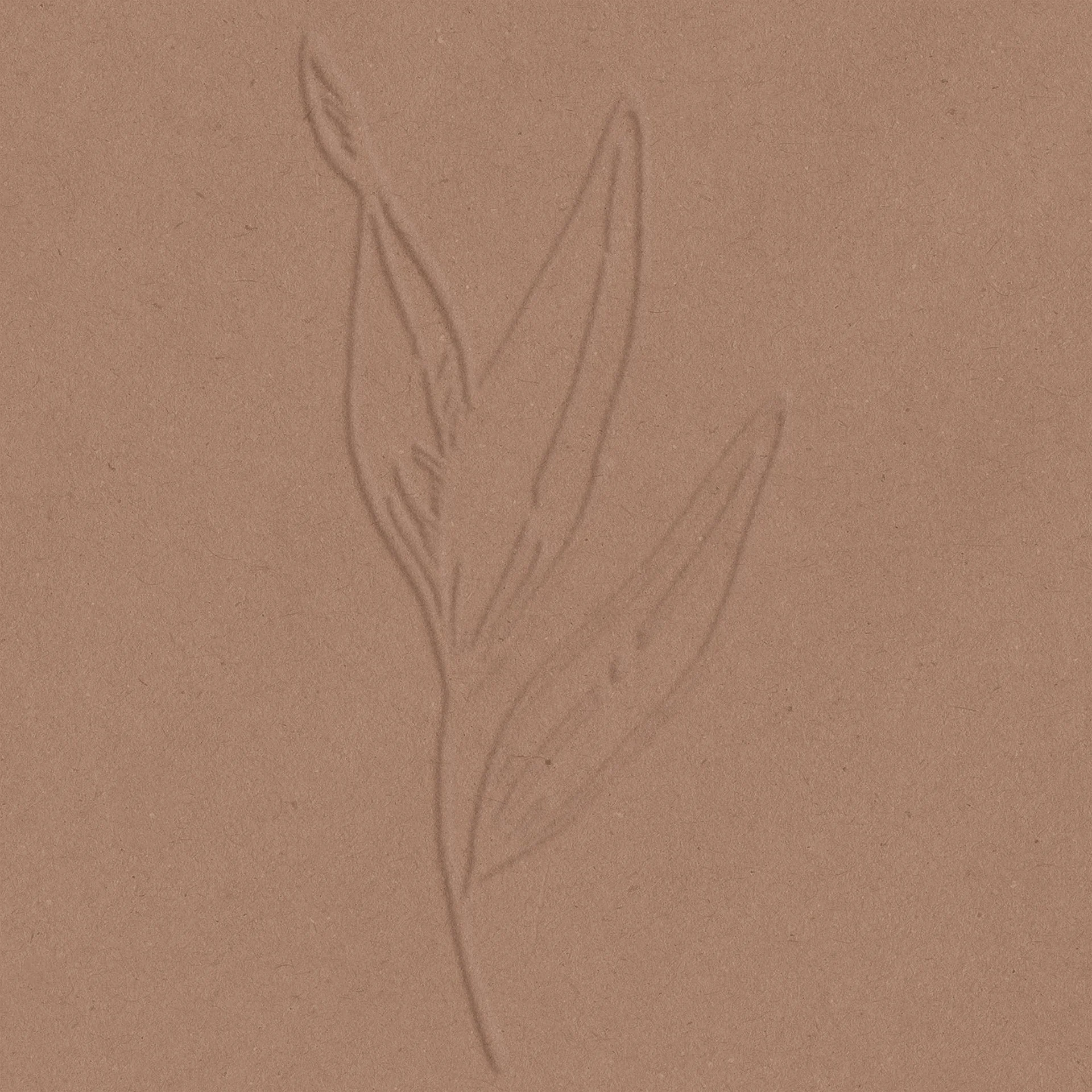 Olivia Korn Favicon. TNQ Studios Portfolio.1.jpg