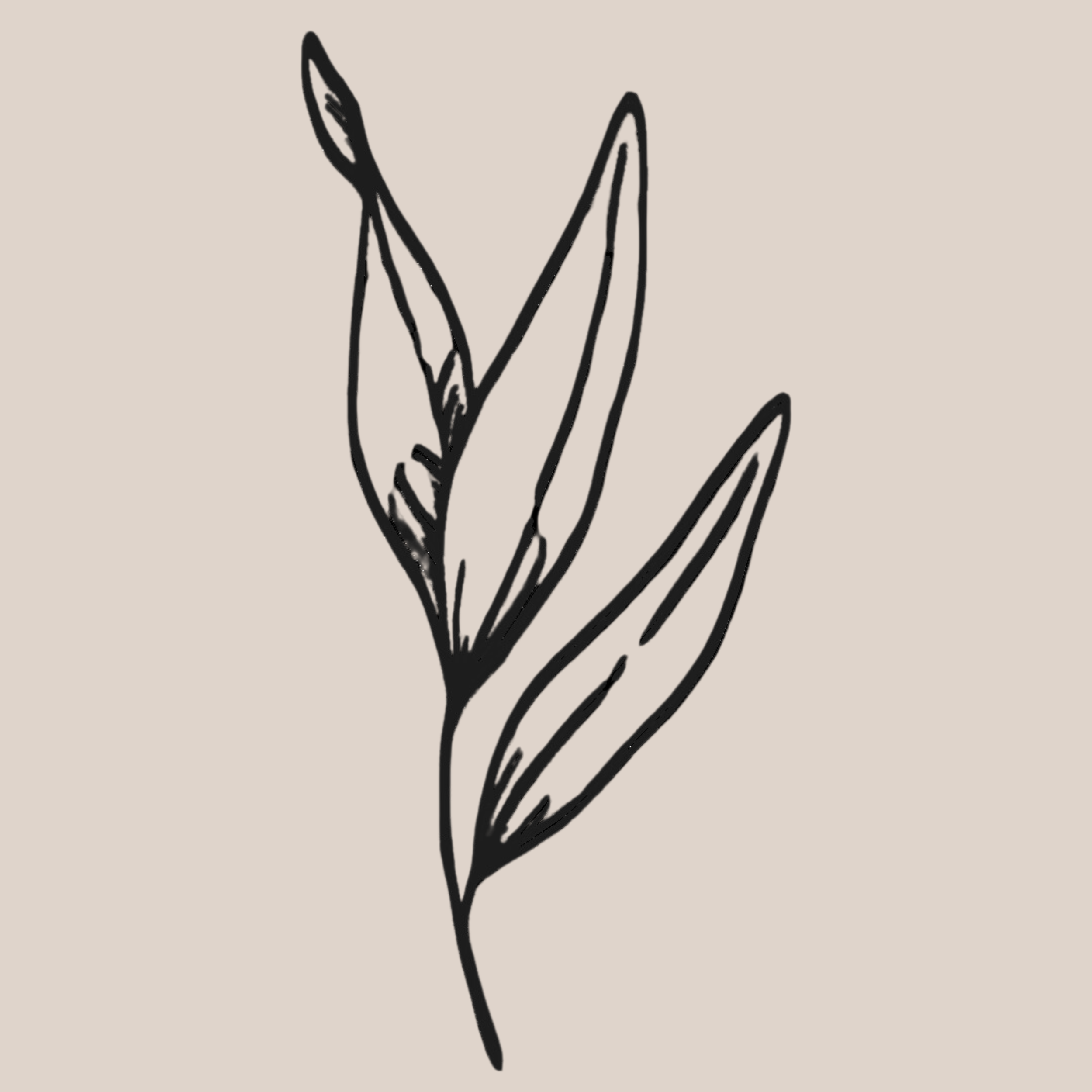 EQ Designs Website and SEO  Studios Portfolio. Custom Squarespace Web Design. Olivia Korn Therapy . custom favicon and bullet points