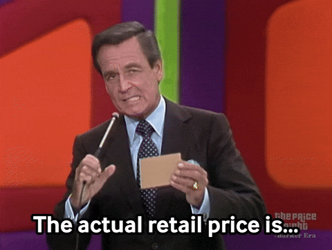 how much does a professional website cost - game show gif