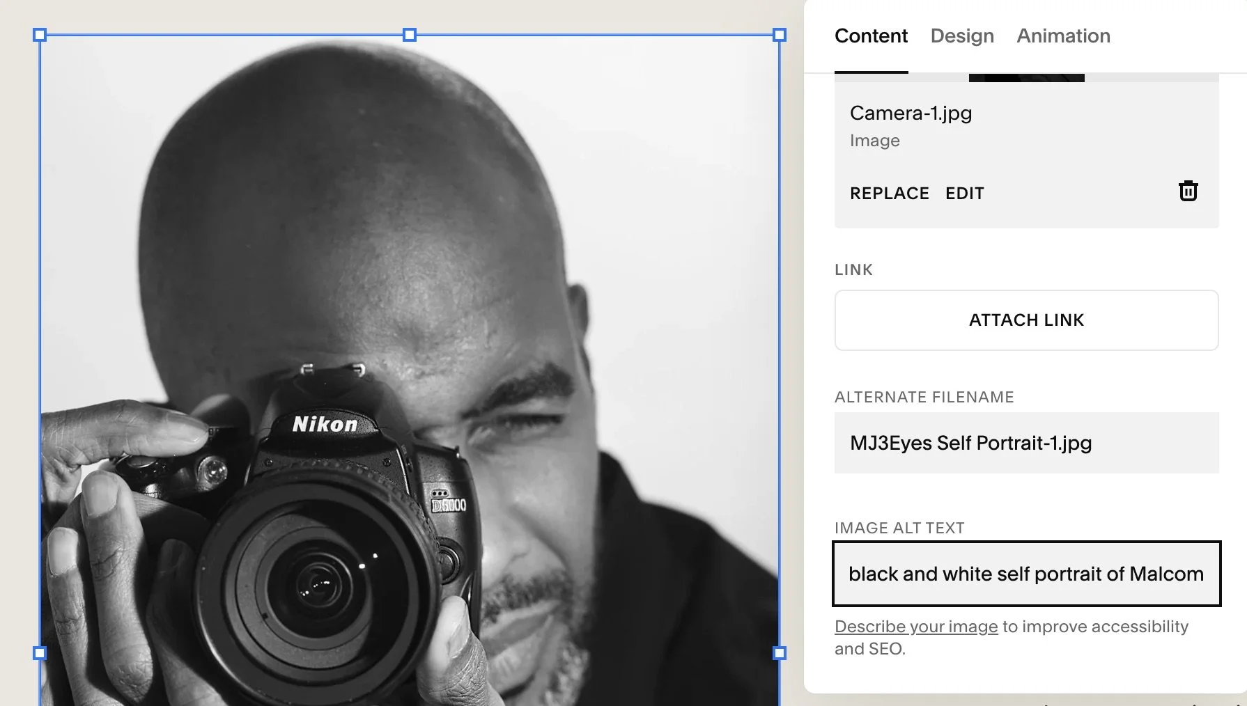 adding SEO Alt tag to squarespace