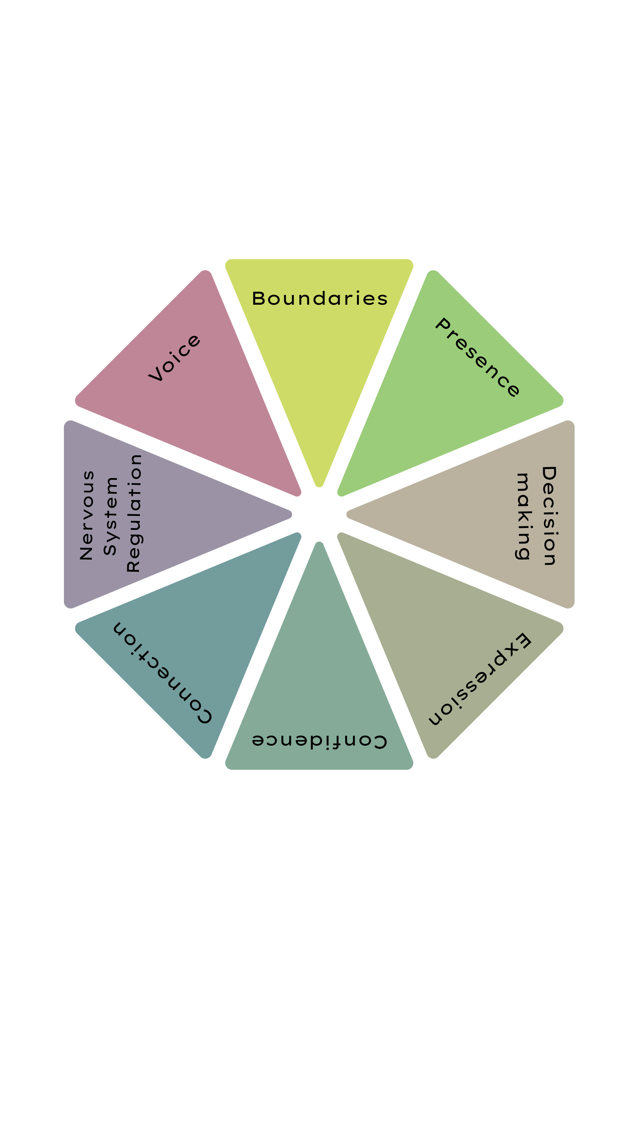 Diagram illustrating components of consciousness including Boundaries, Presence, Decision making, Executive function, Consciousness, Connection, Nervous system regulation, Voice.