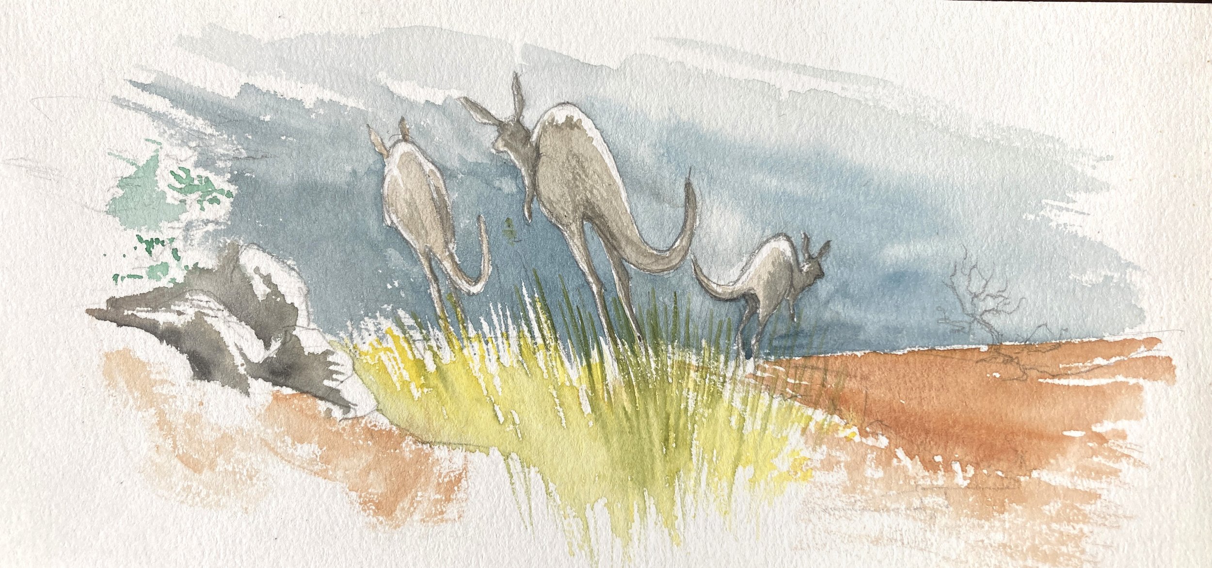 Carnet de voyage Australie