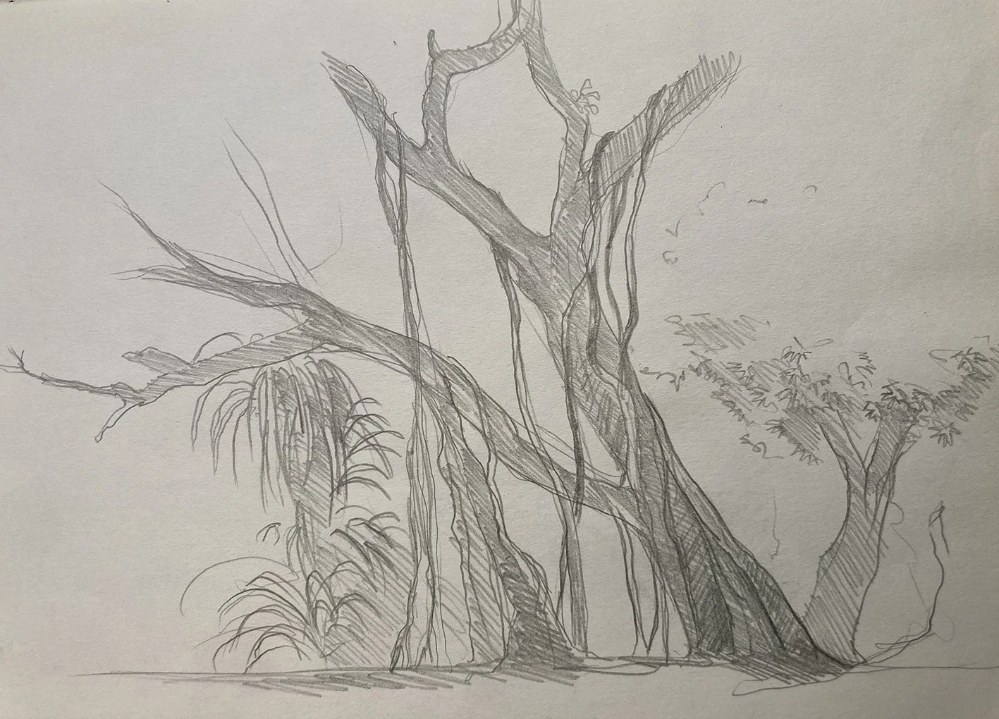Croquis de voyage Goa - Inde