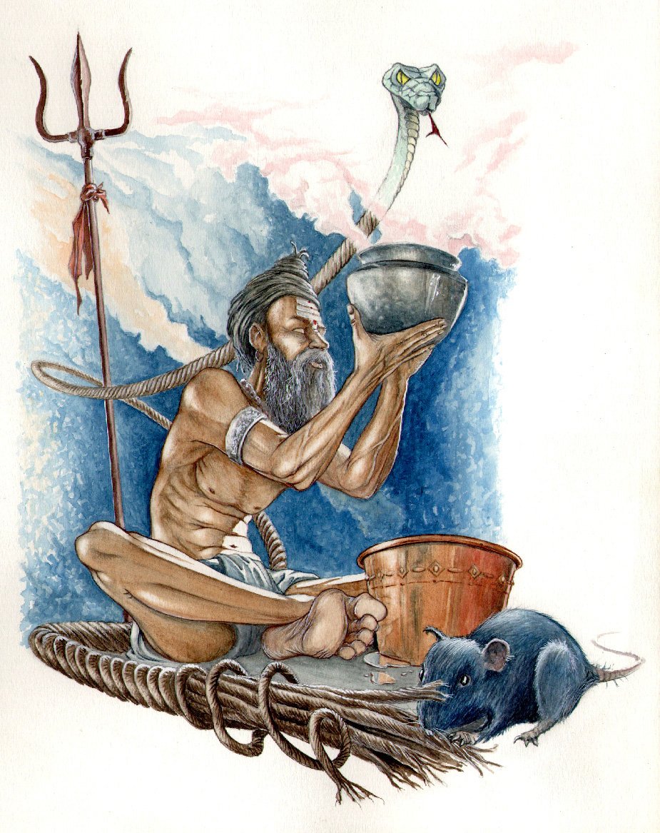 Carnet de voyage Inde Saddhu