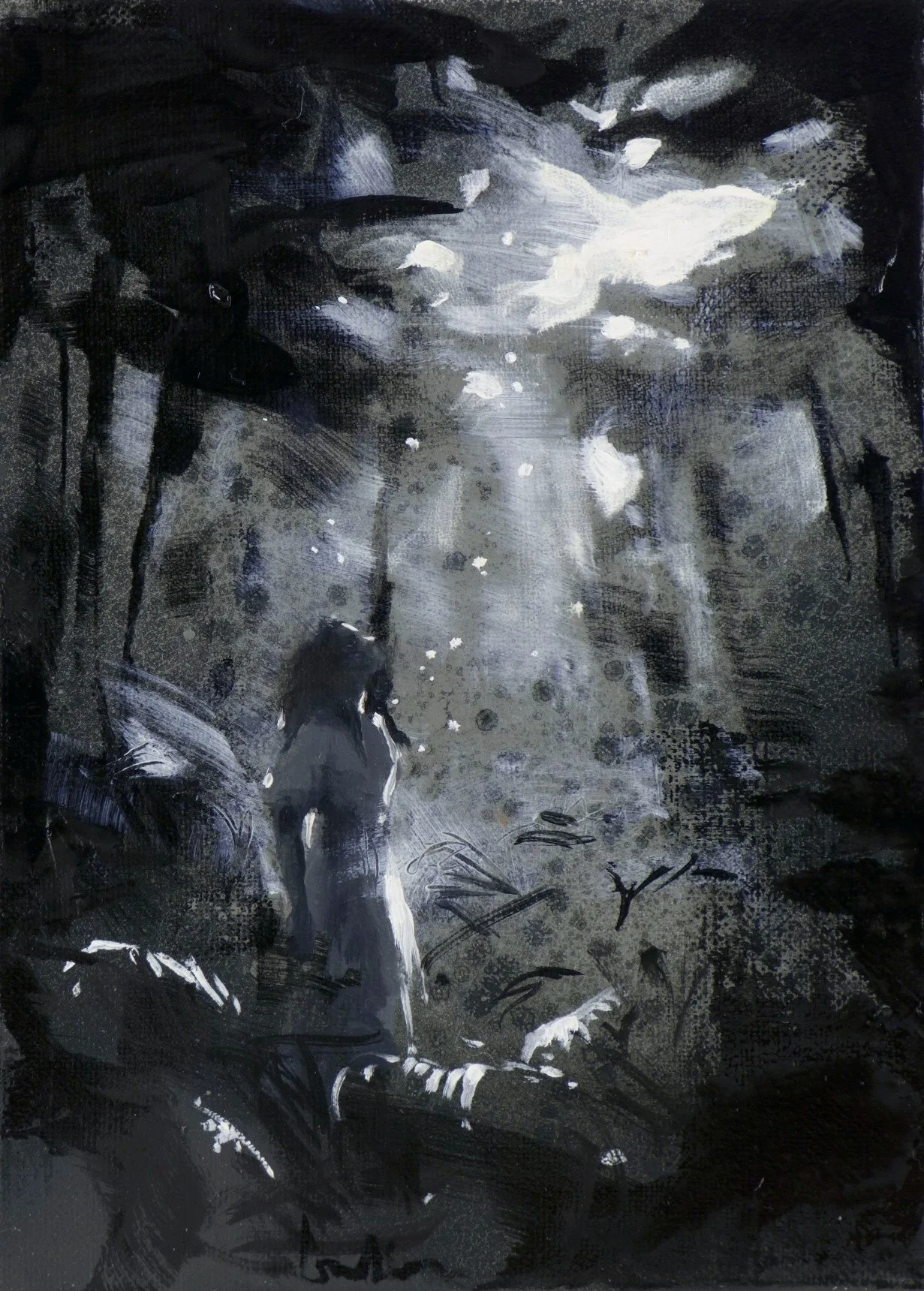 Wonderland 5