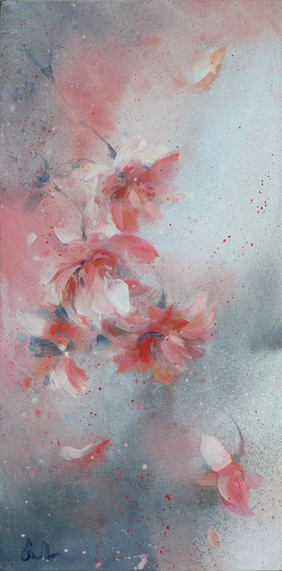 Sakura V