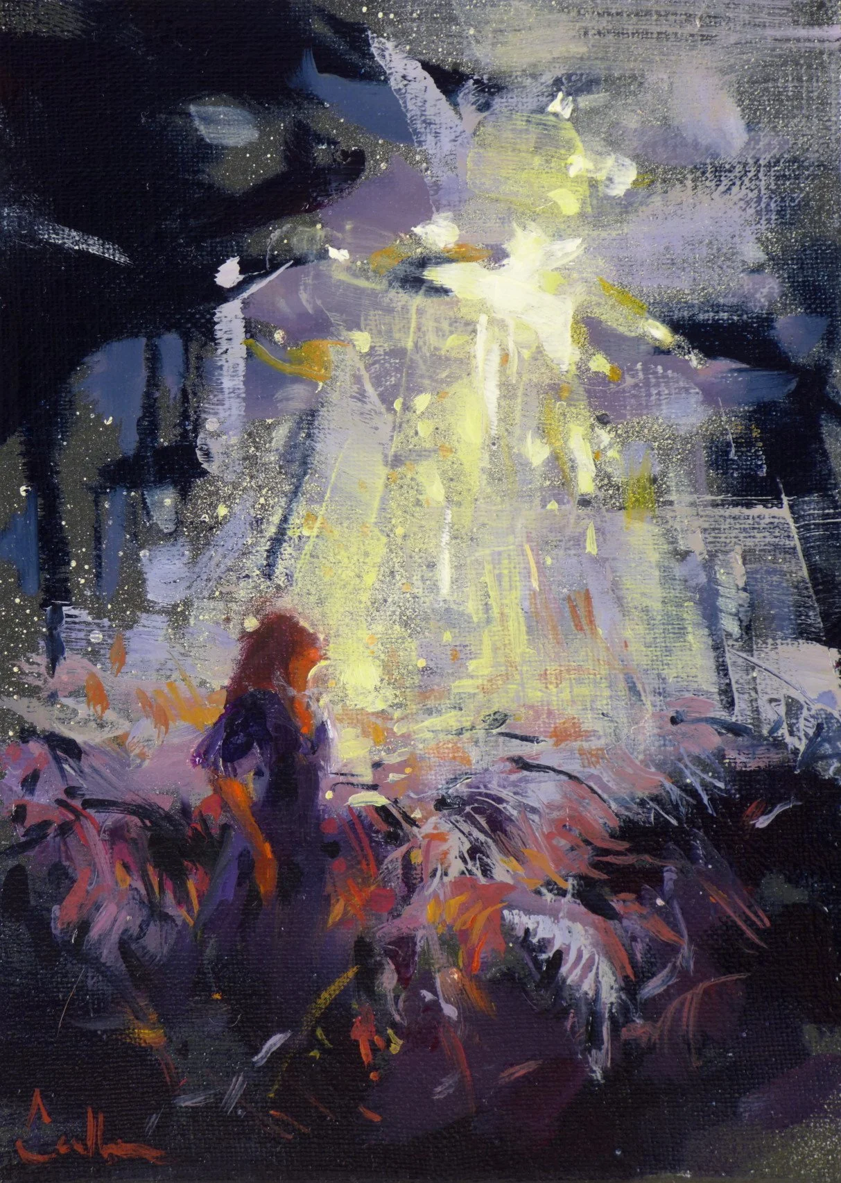 Wonderland 4