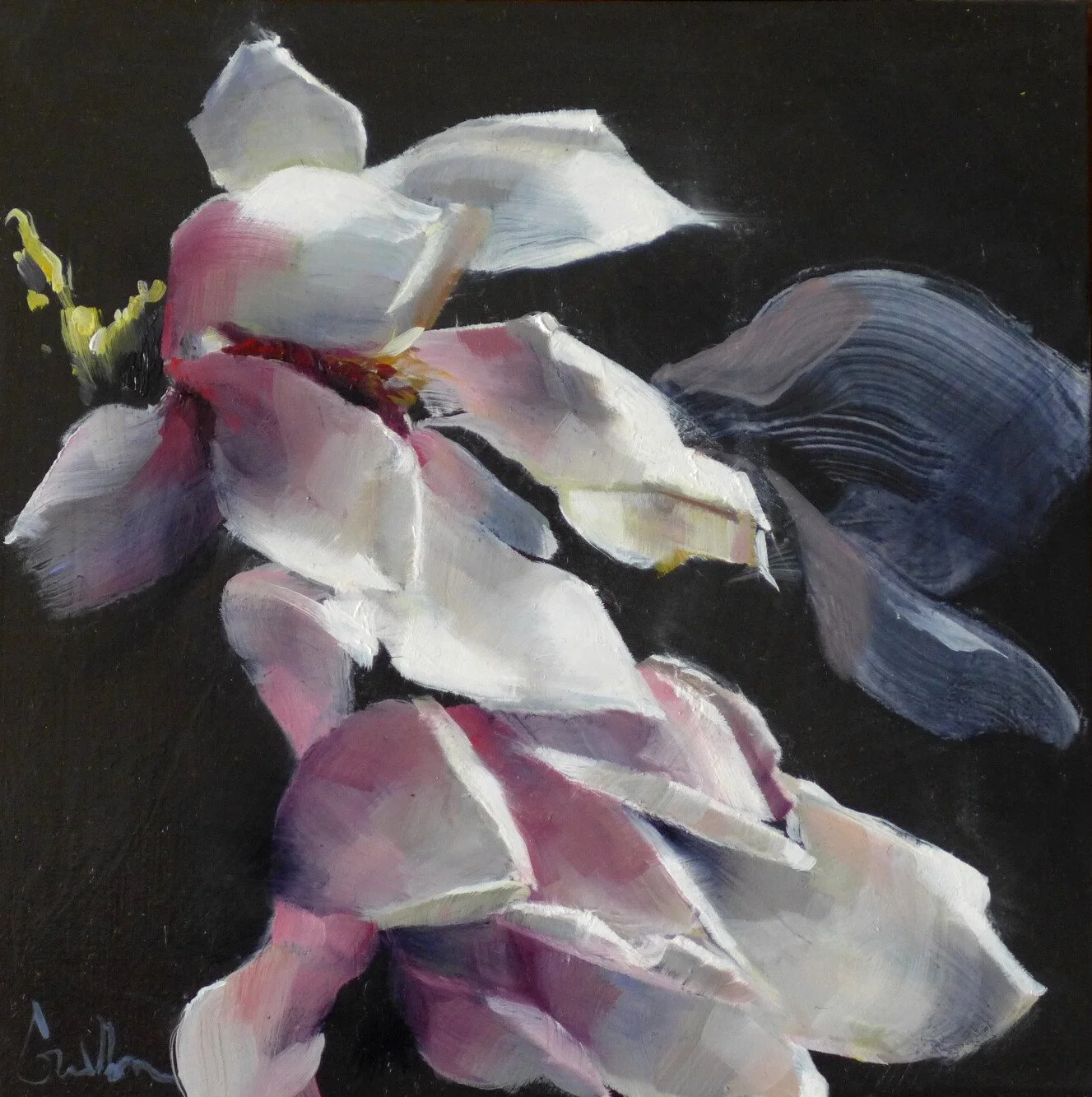 Magnolias