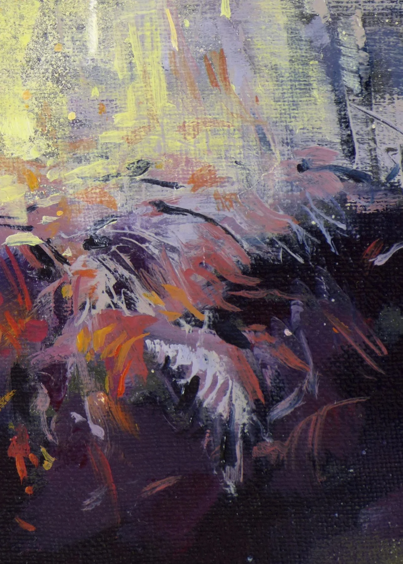 2026-Wonderland 4-detail3.jpg